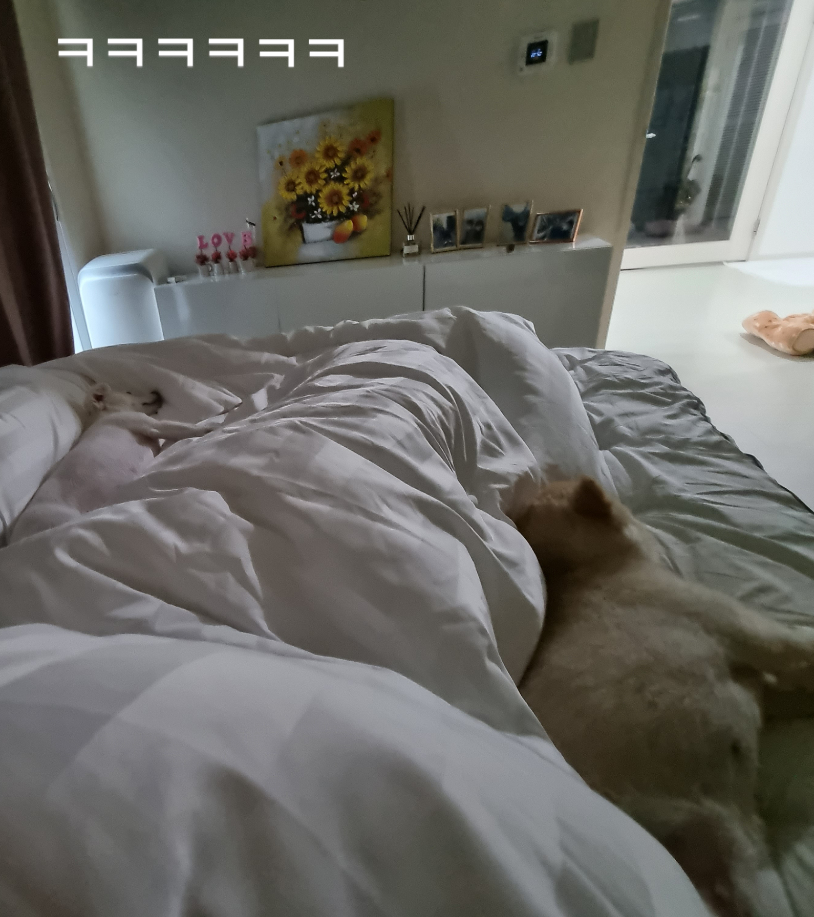 달이(온새)의 한달차 이야기~♡