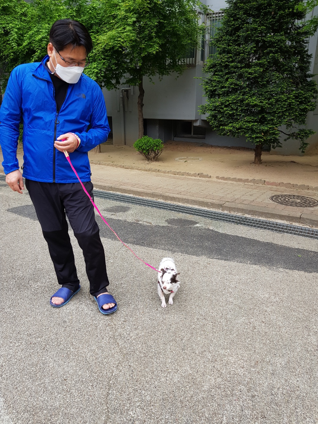 곤지암 산이(히치) 입양 한 달 후 이야기