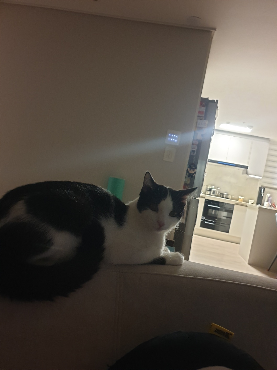 우주는 조금씩, 그러나 열심히 탐색과 적응을 하고 있습니다.