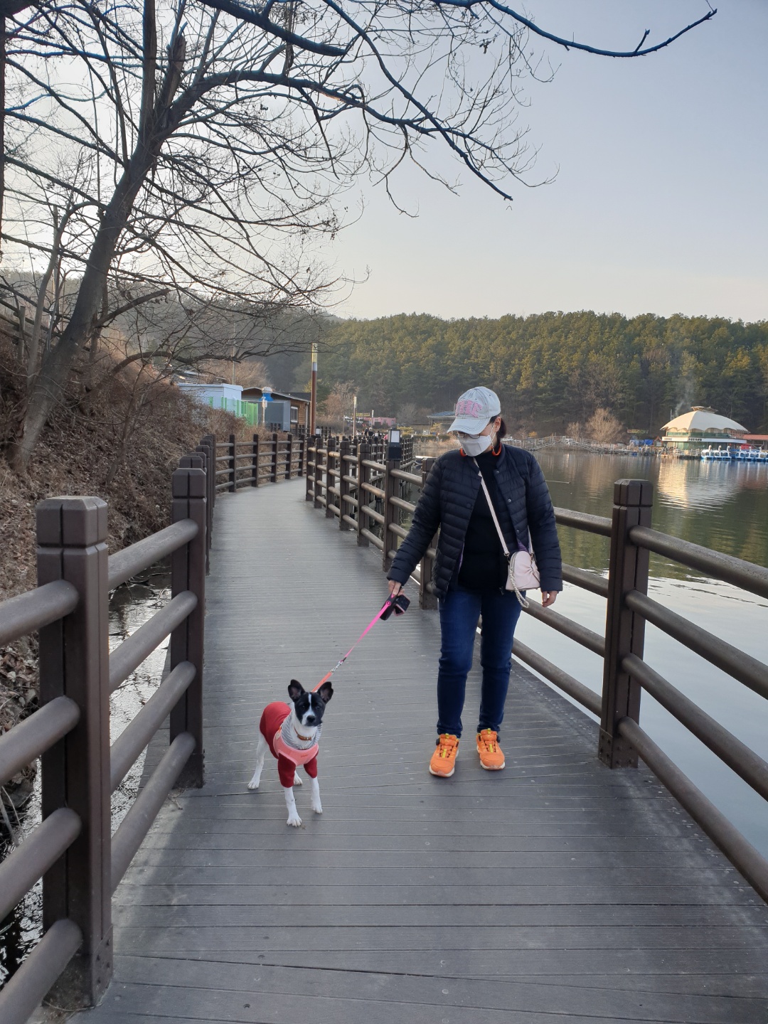 미미 입양후 3개월 이야기예요.