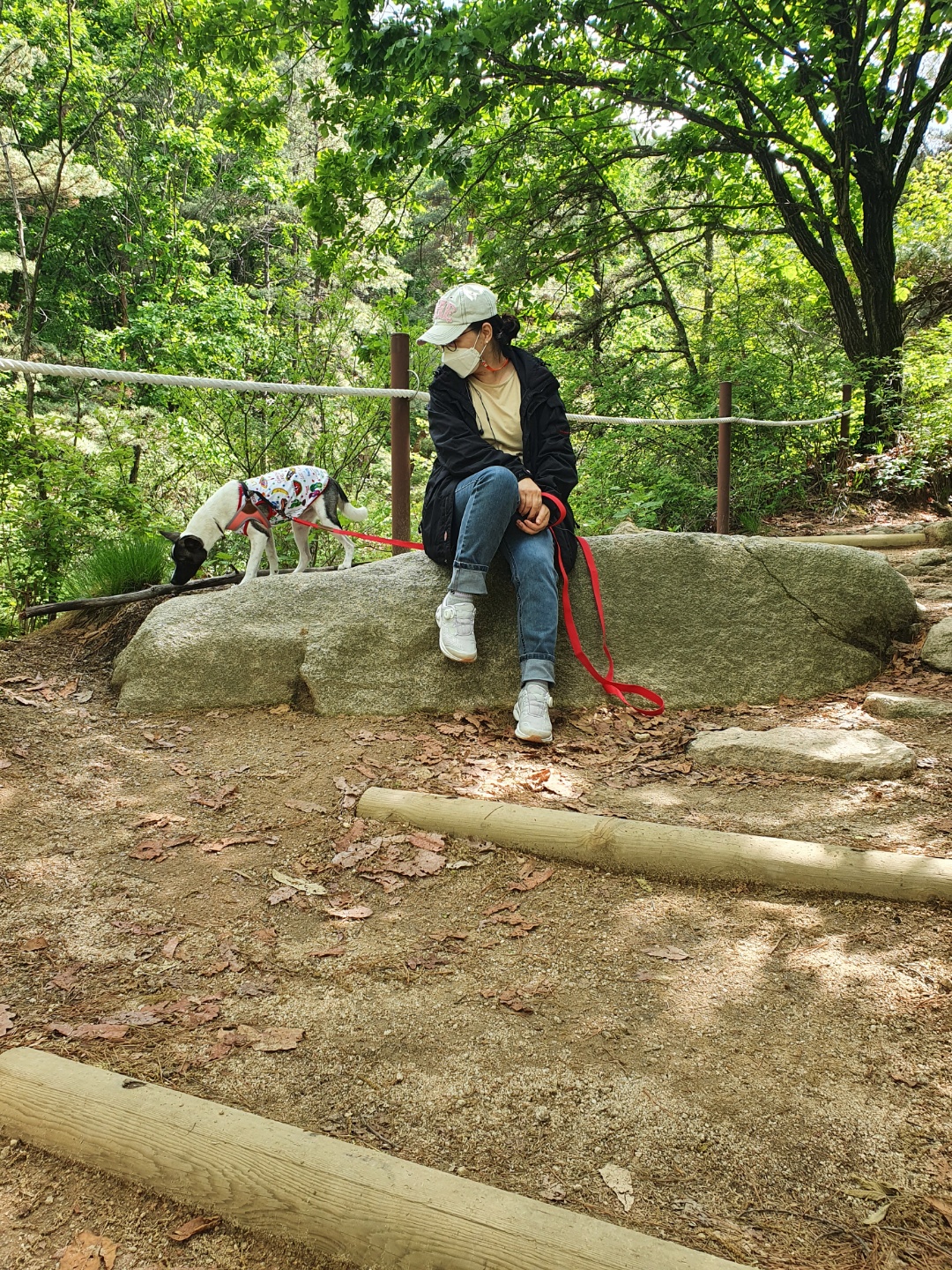 미미 입양후 3개월 이야기예요.