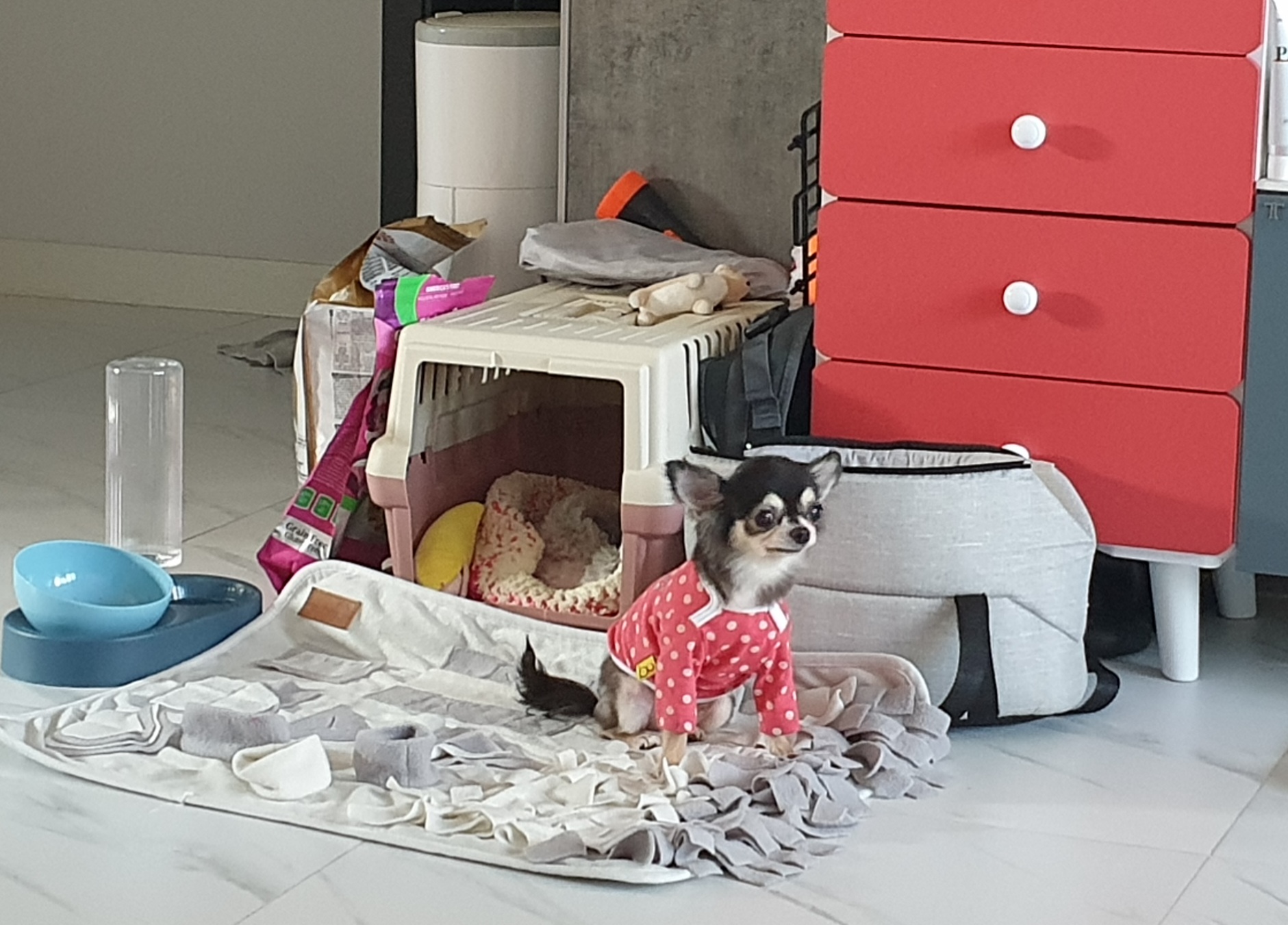 왕별이랑 잘지내고 있어요^^♡