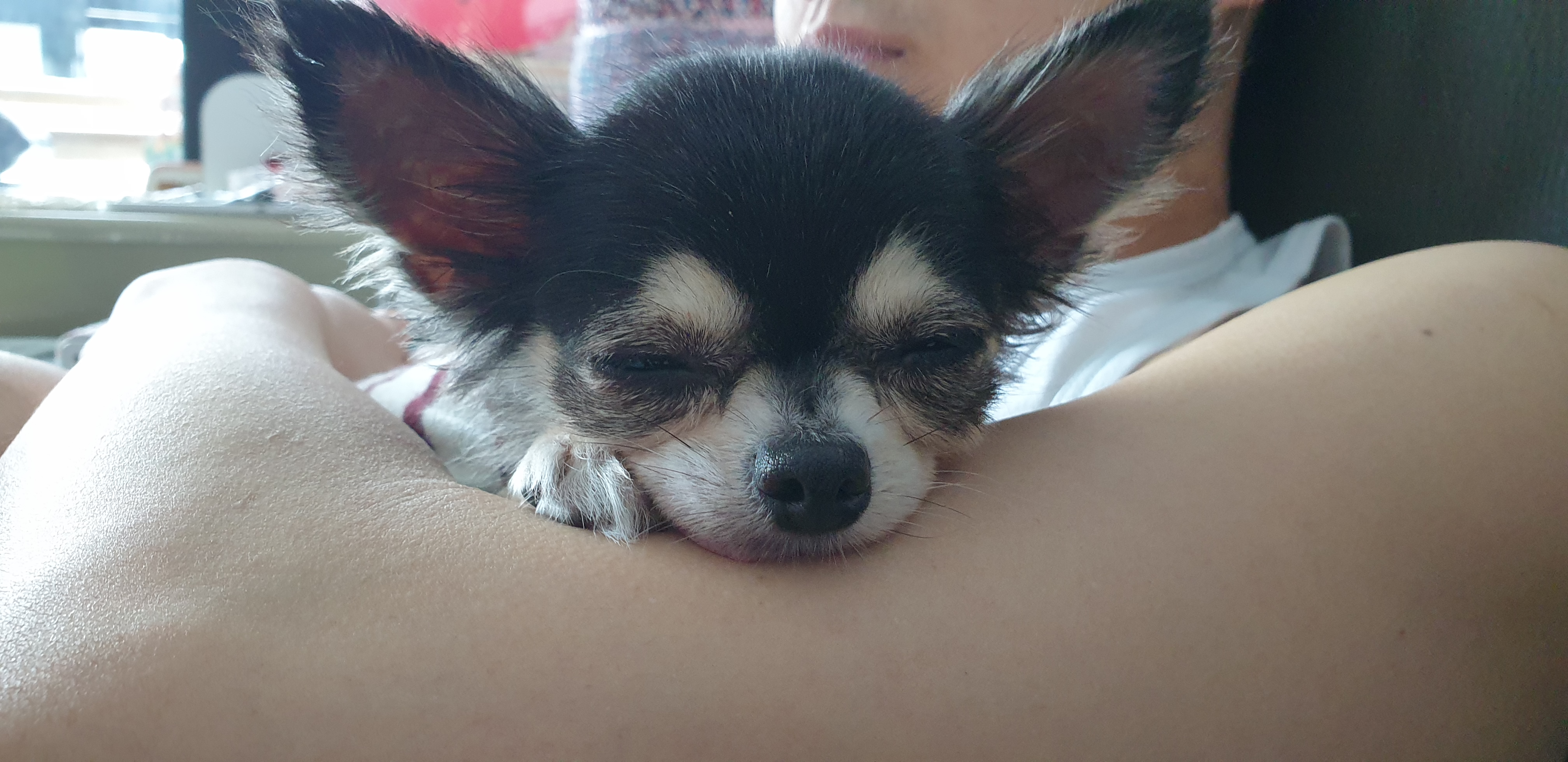 왕별이랑 잘지내고 있어요^^♡