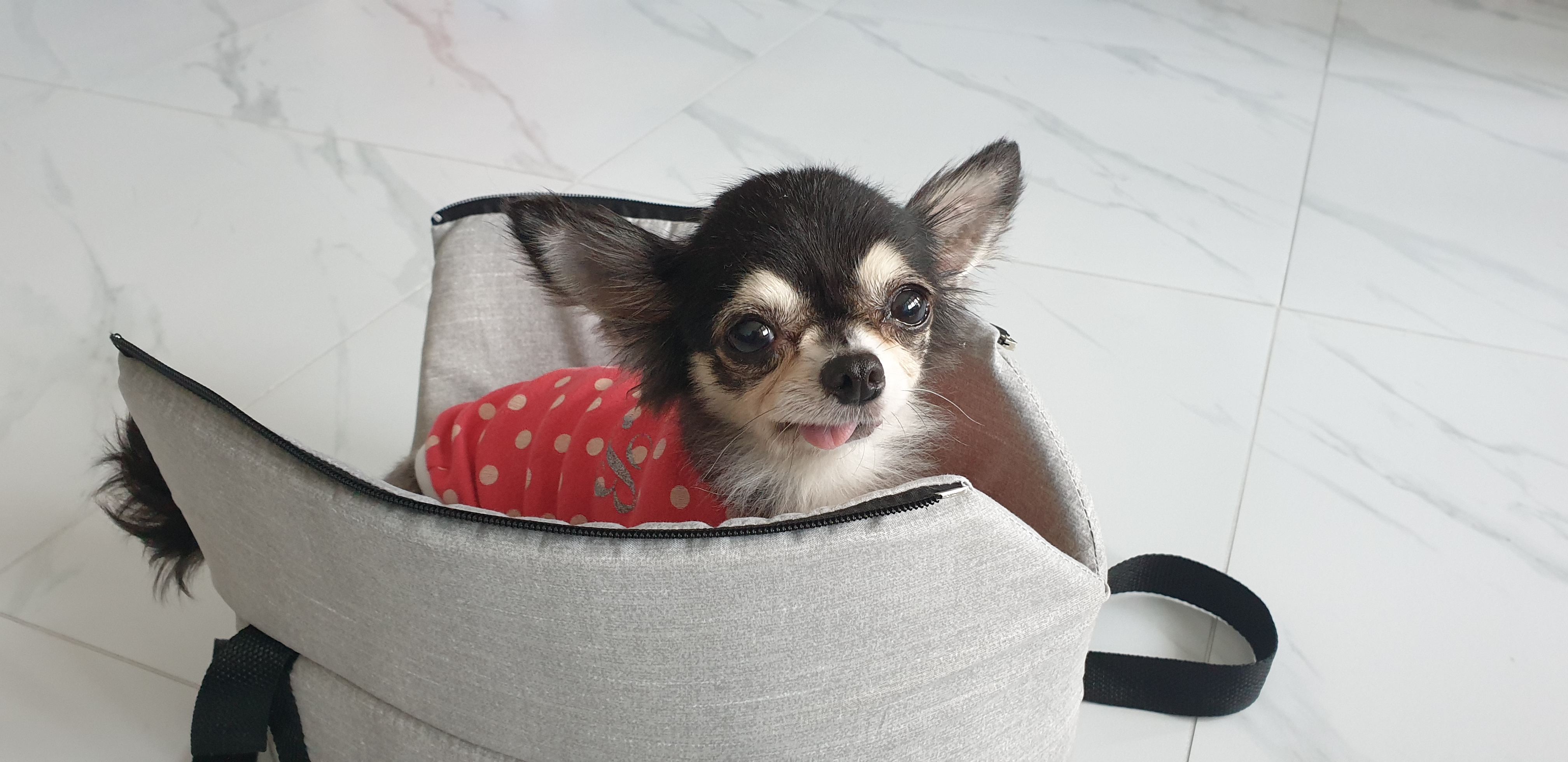 왕별이랑 잘지내고 있어요^^♡