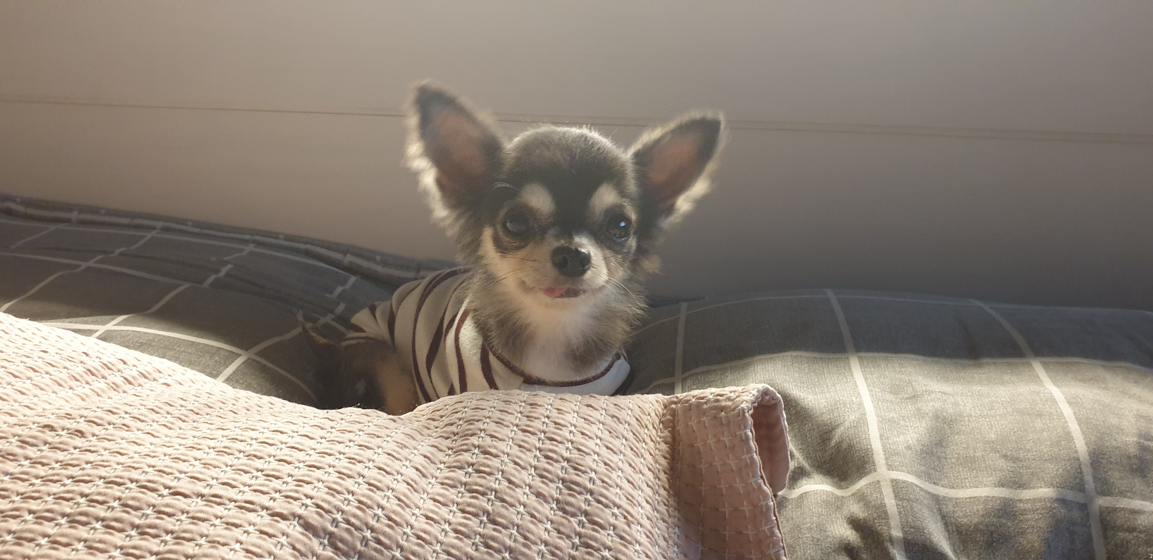 왕별이랑 잘지내고 있어요^^♡