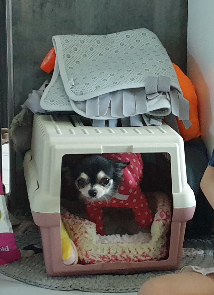 왕별이랑 잘지내고 있어요^^♡