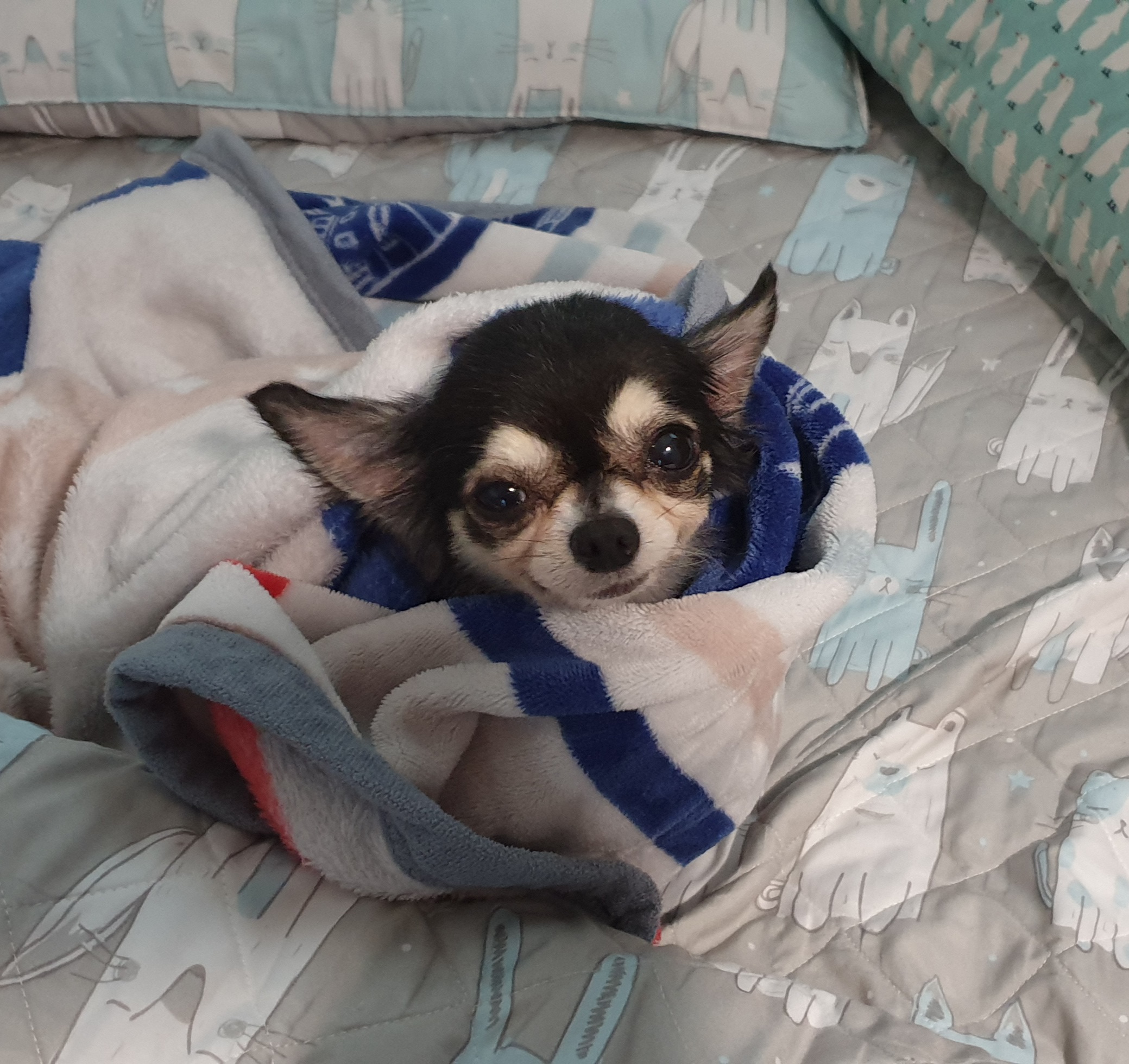 왕별이랑 잘지내고 있어요^^♡