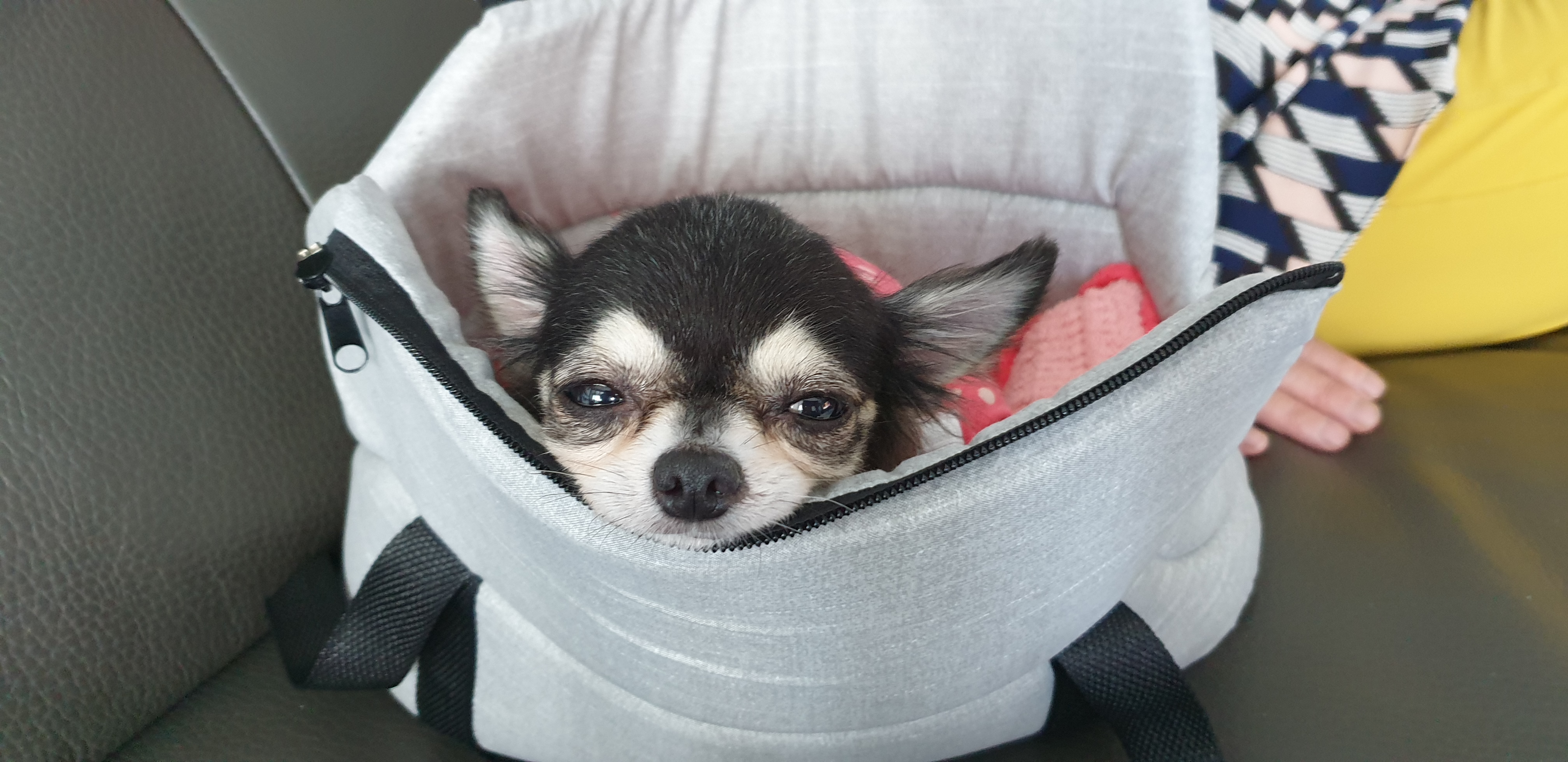 왕별이랑 잘지내고 있어요^^♡