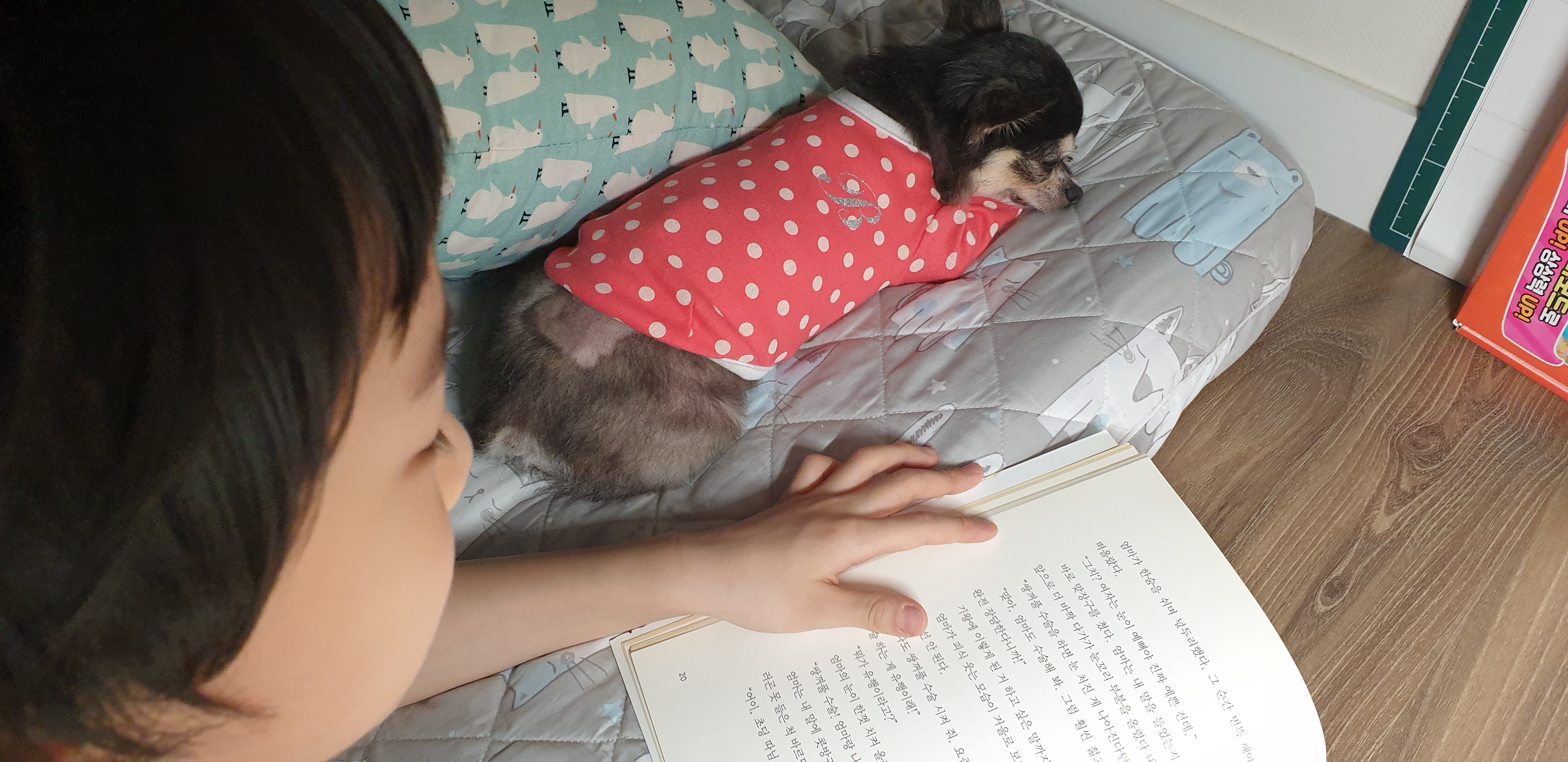 왕별이랑 잘지내고 있어요^^♡