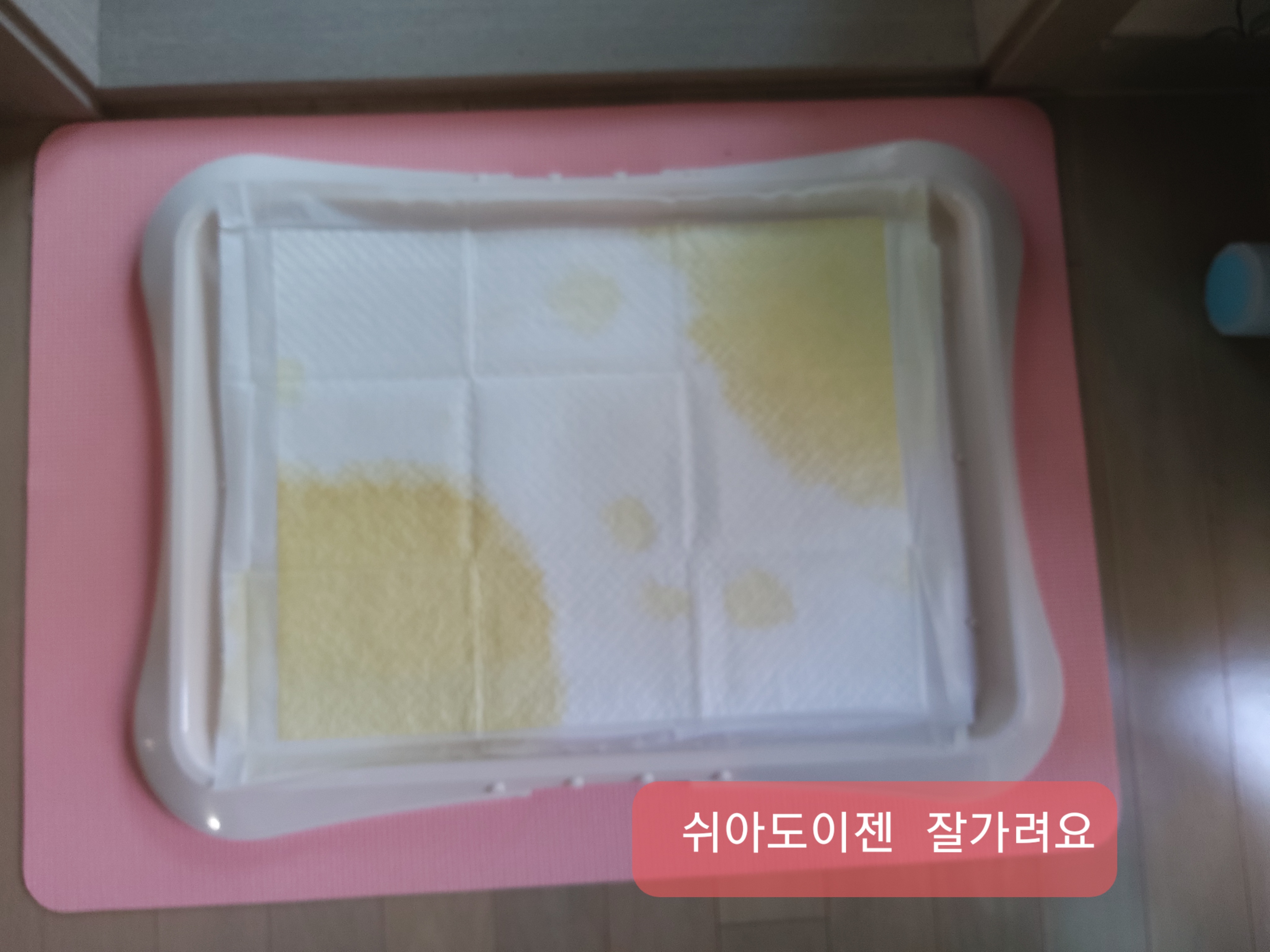 별(깜치)이 소식 전해드려요