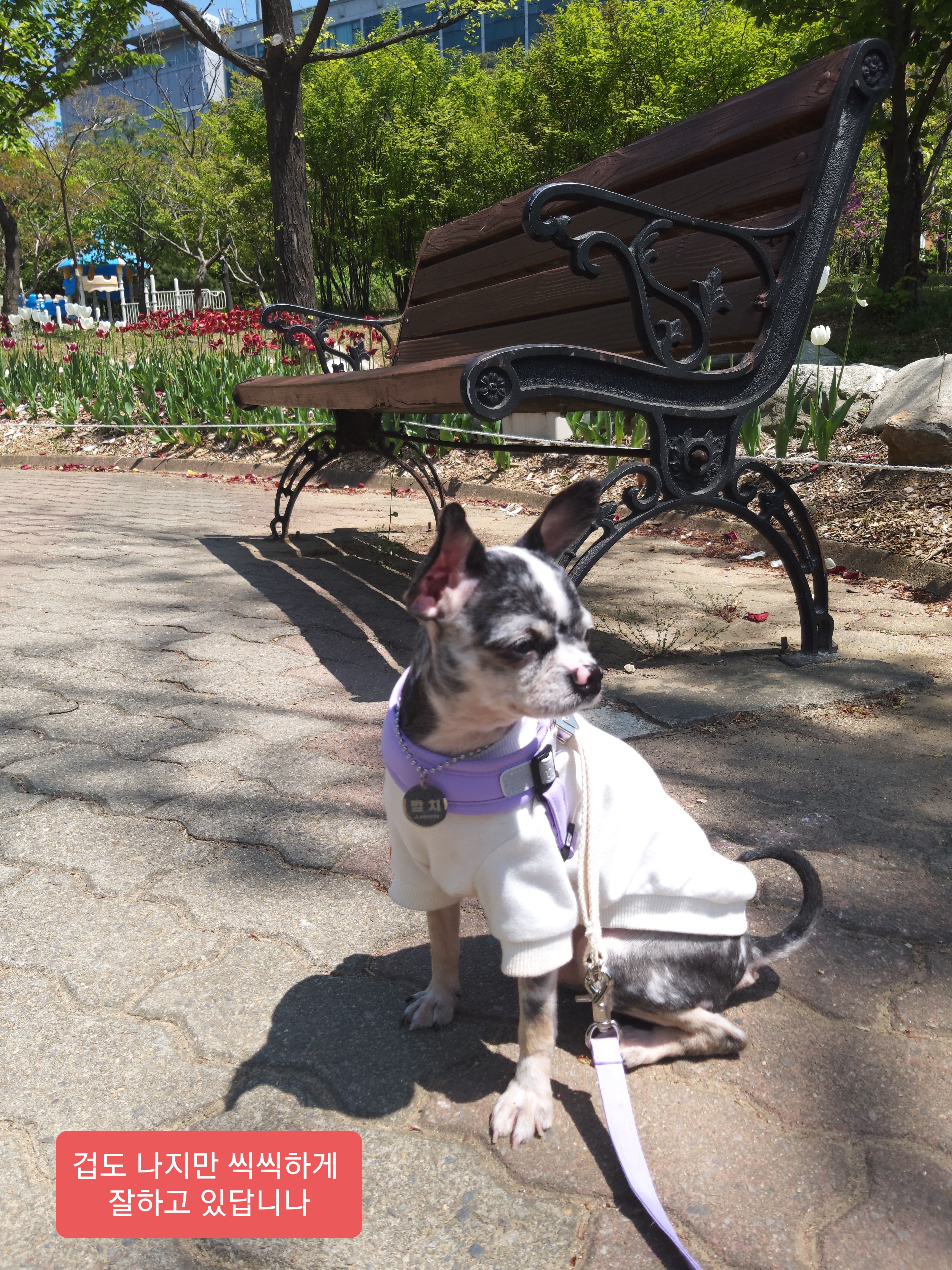 별(깜치)이 소식 전해드려요