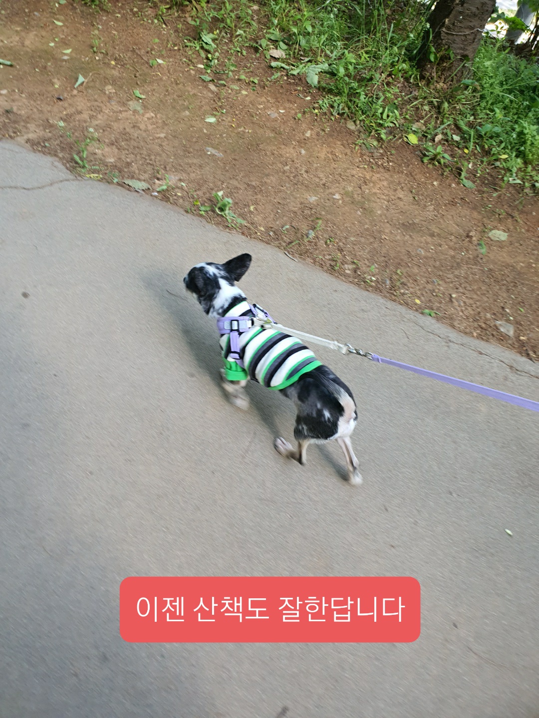 별(깜치)이 소식 전해드려요