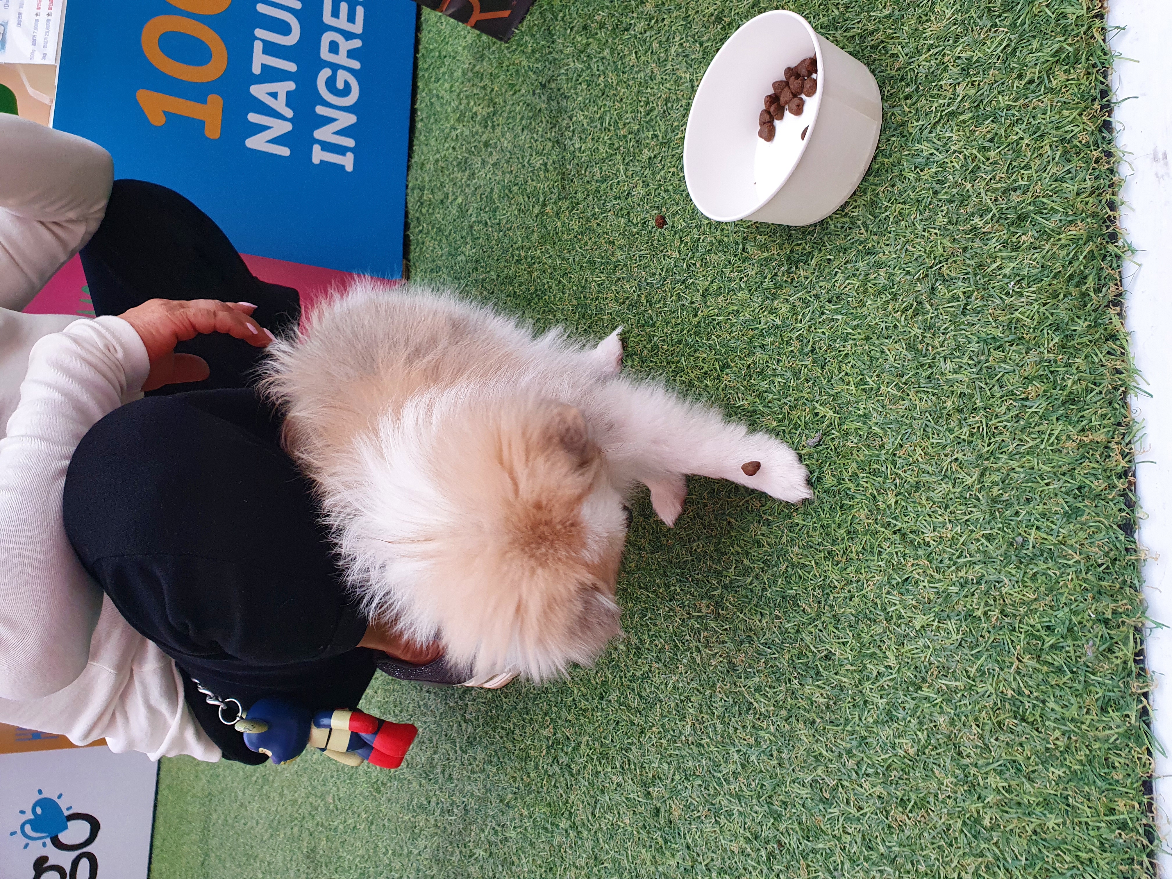 제리 입양 한달차 ! 