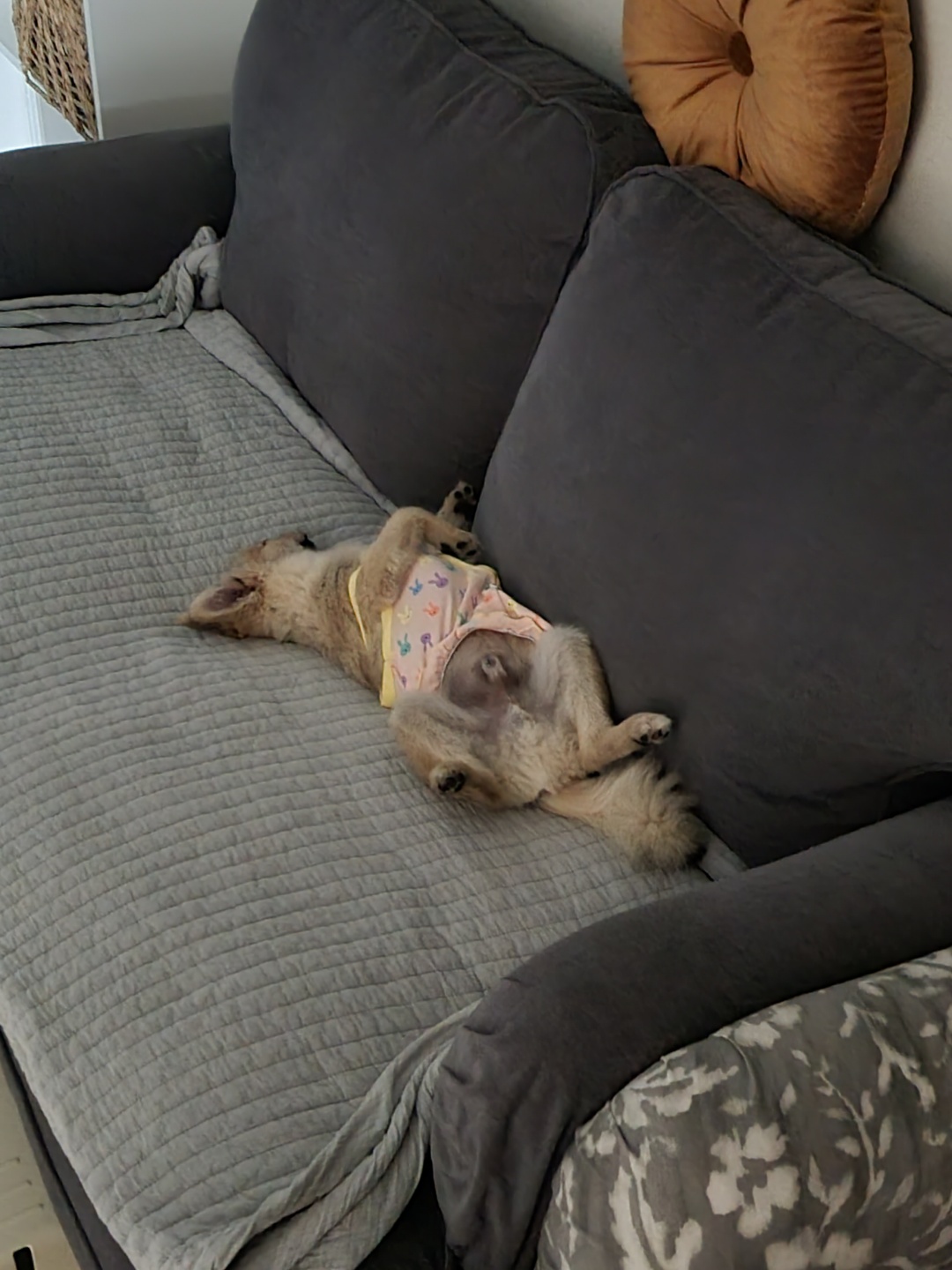 그일이(하트) 3개월후기