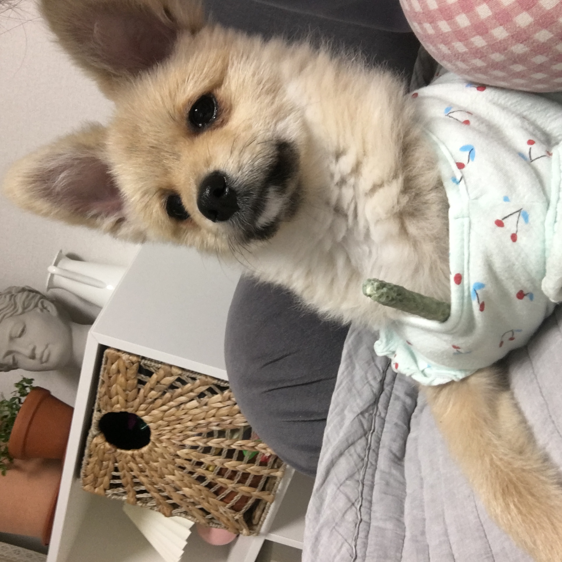 그일이(하트) 3개월후기