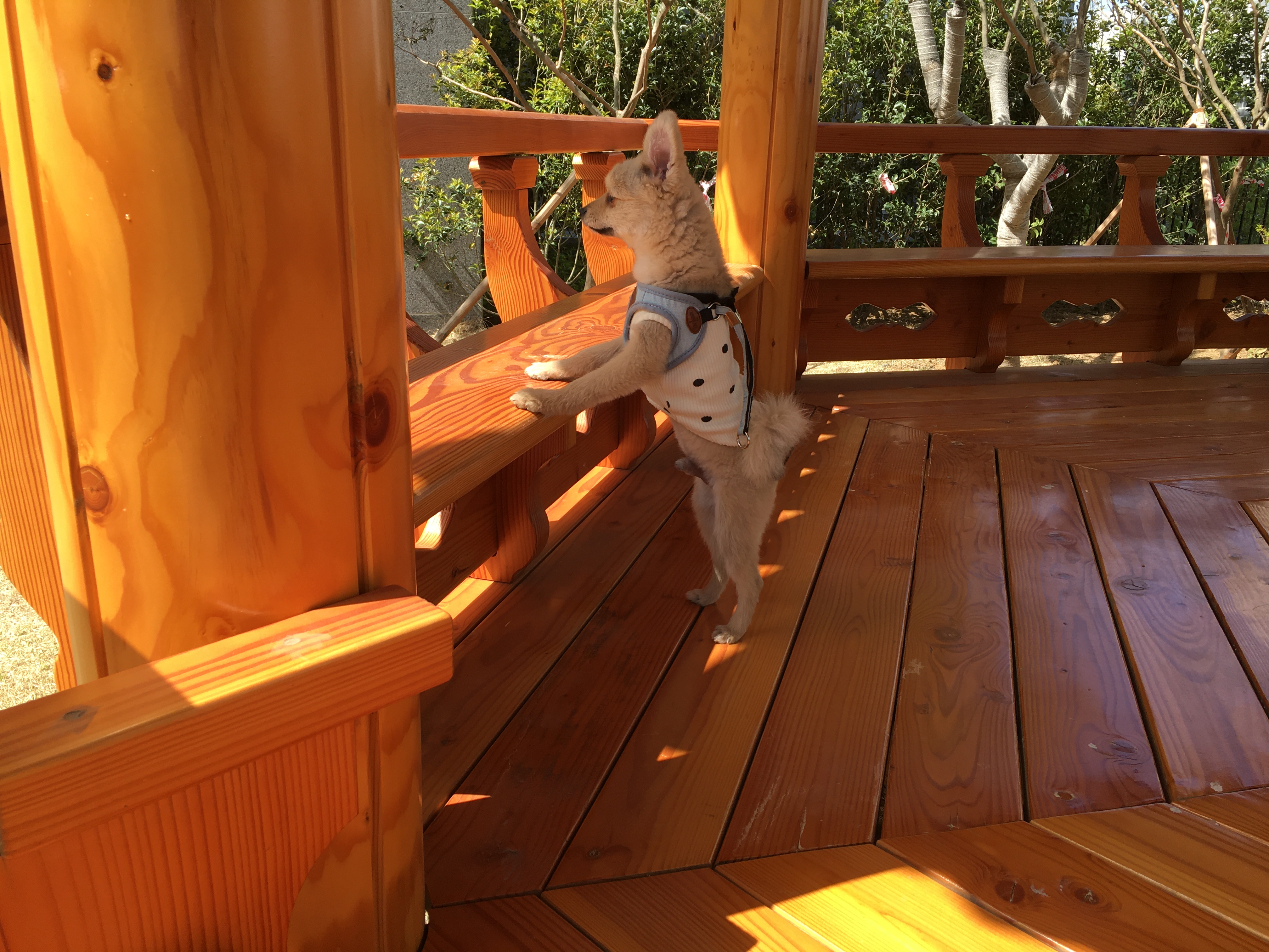 그일이(하트) 3개월후기