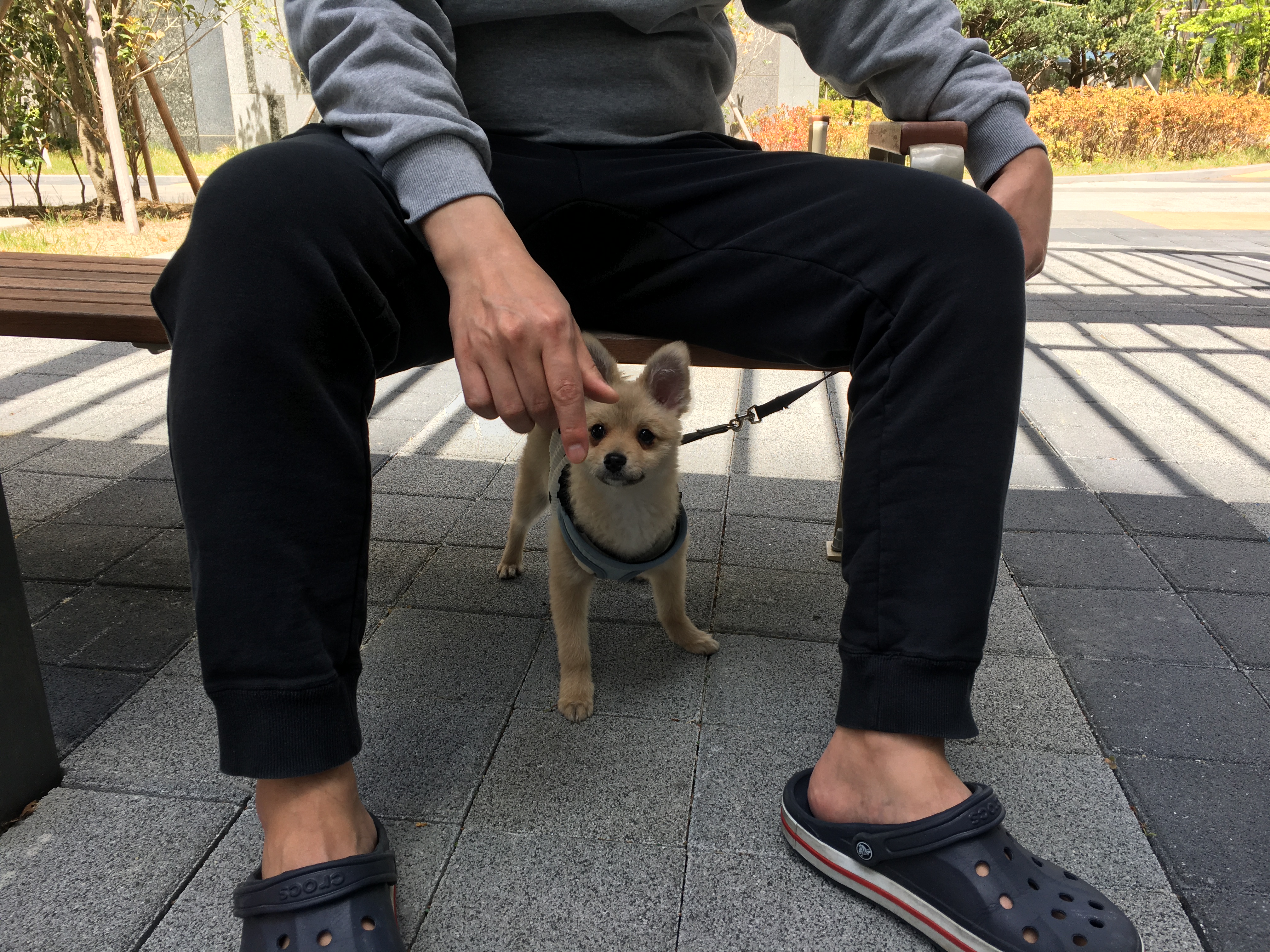 그일이(하트) 3개월후기