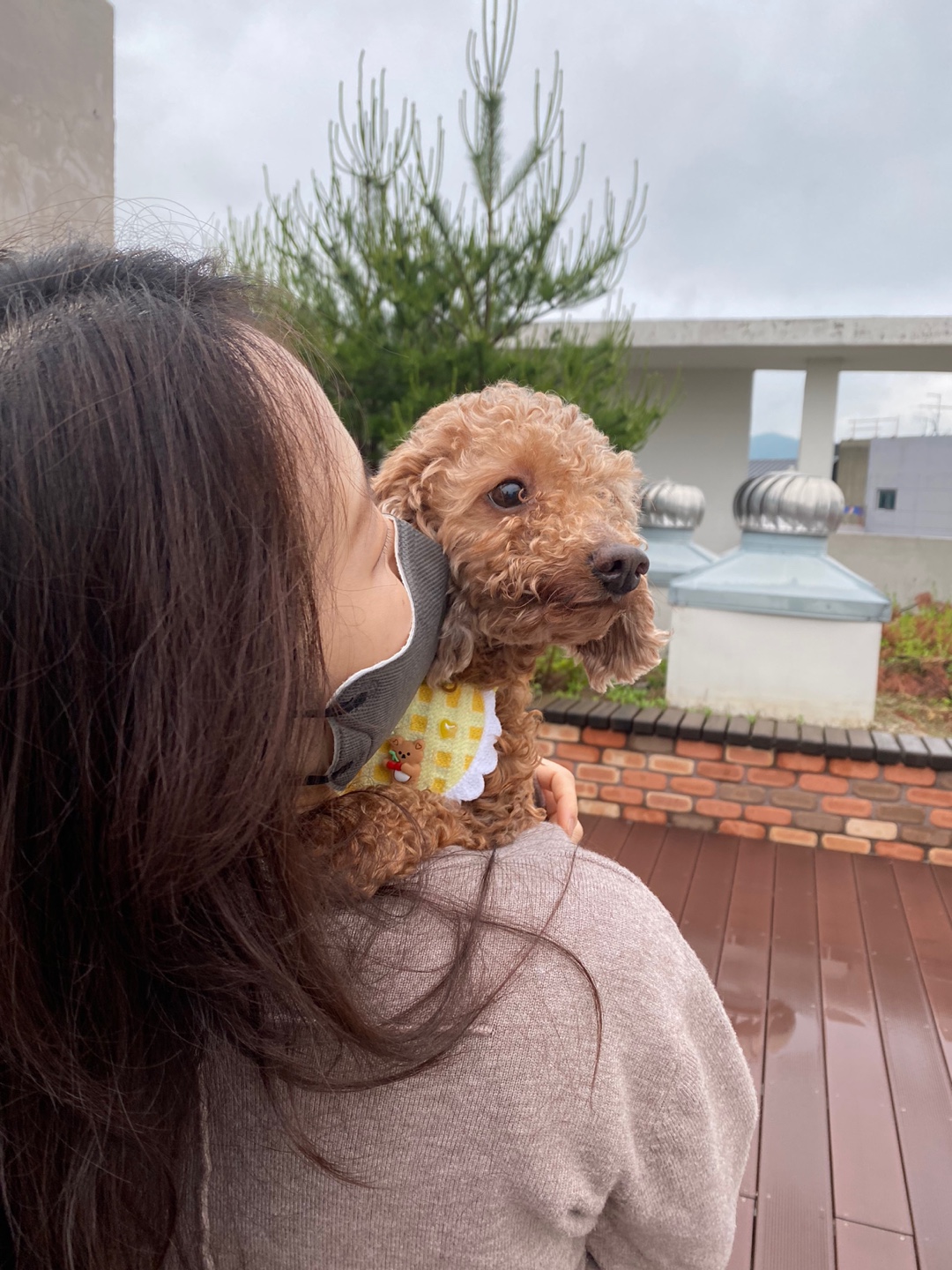 헤이즐과 가족이 된지 일주일이 되었어요~