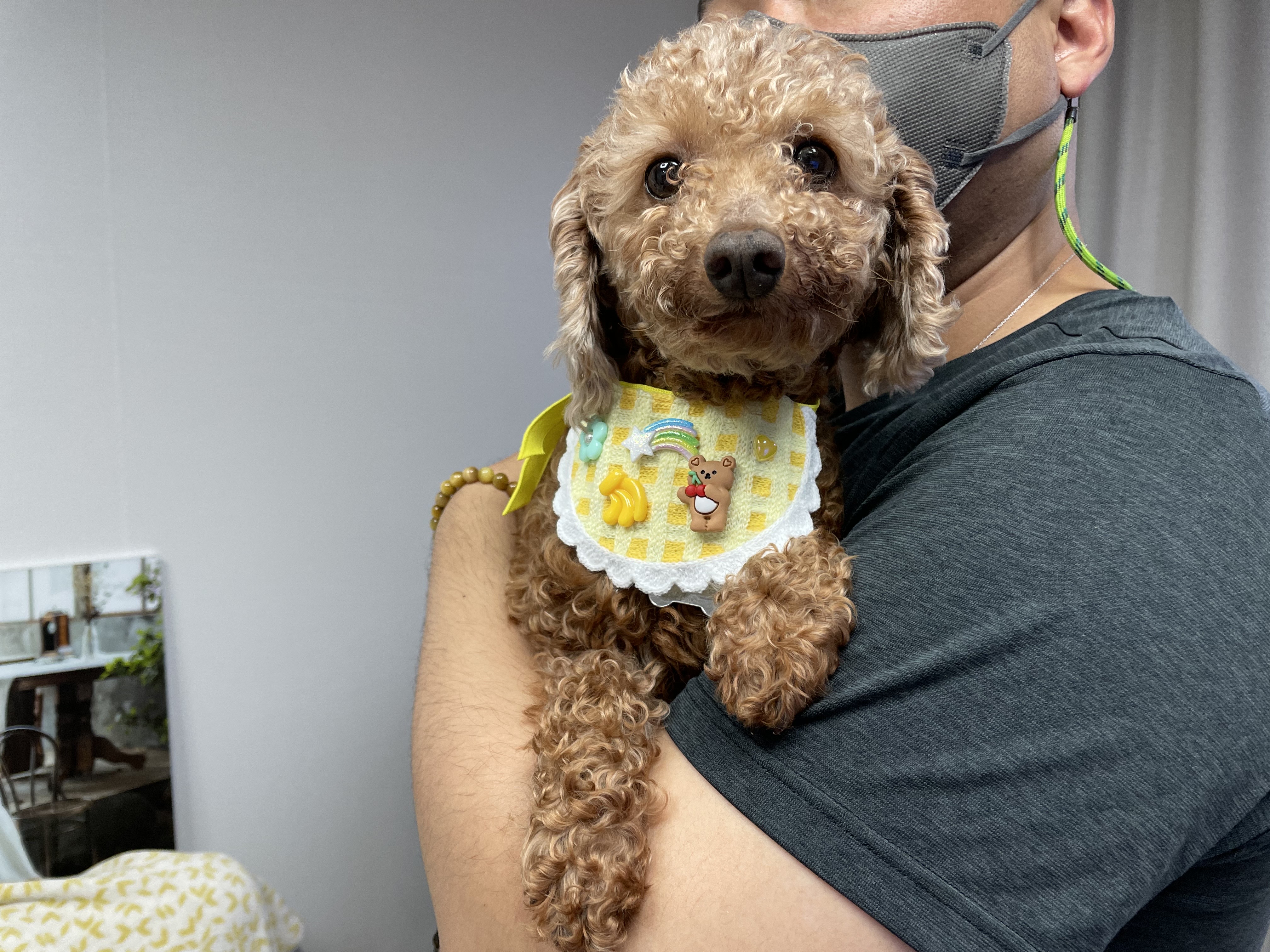 헤이즐과 가족이 된지 일주일이 되었어요~