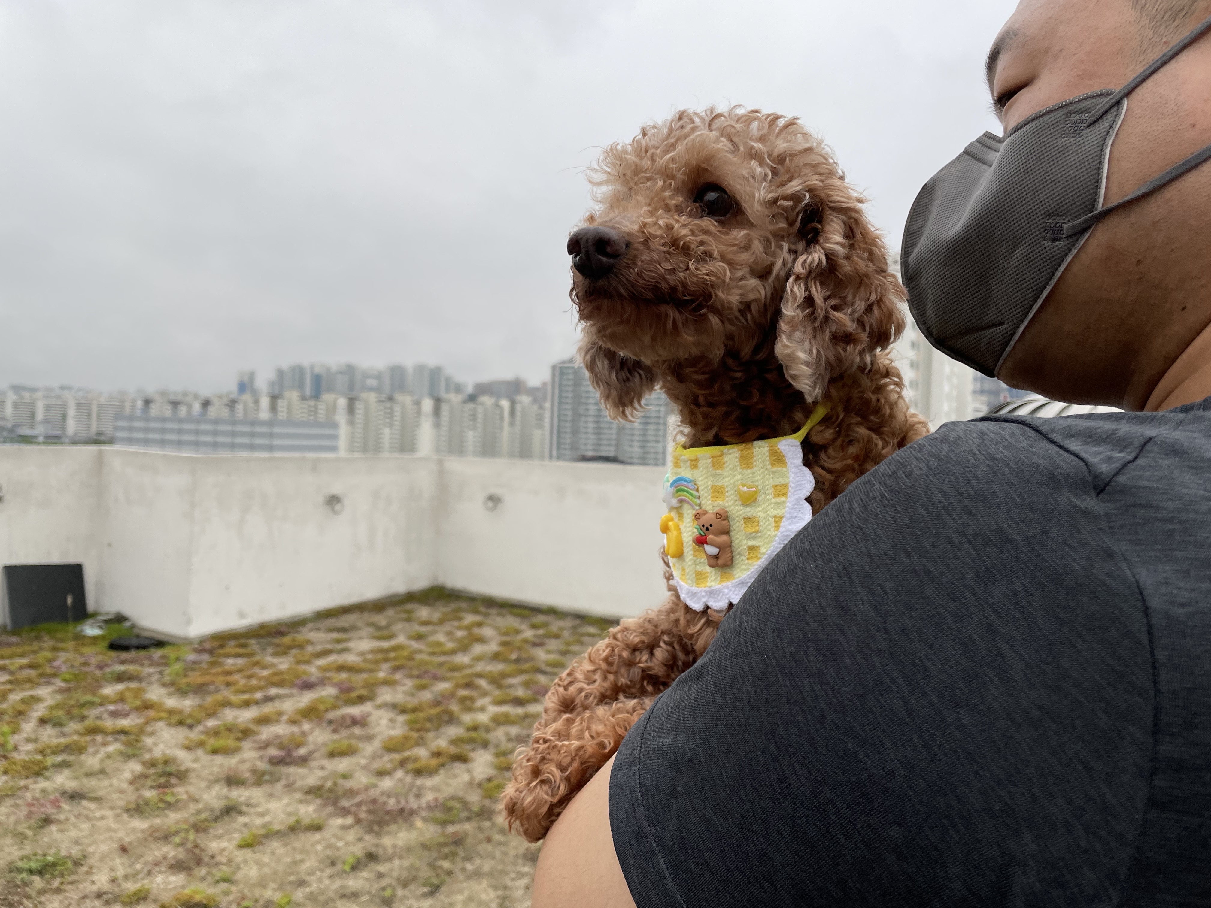 헤이즐과 가족이 된지 일주일이 되었어요~