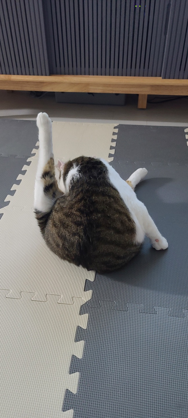 아띠와 함께한지 일주일이 되었어요~!!