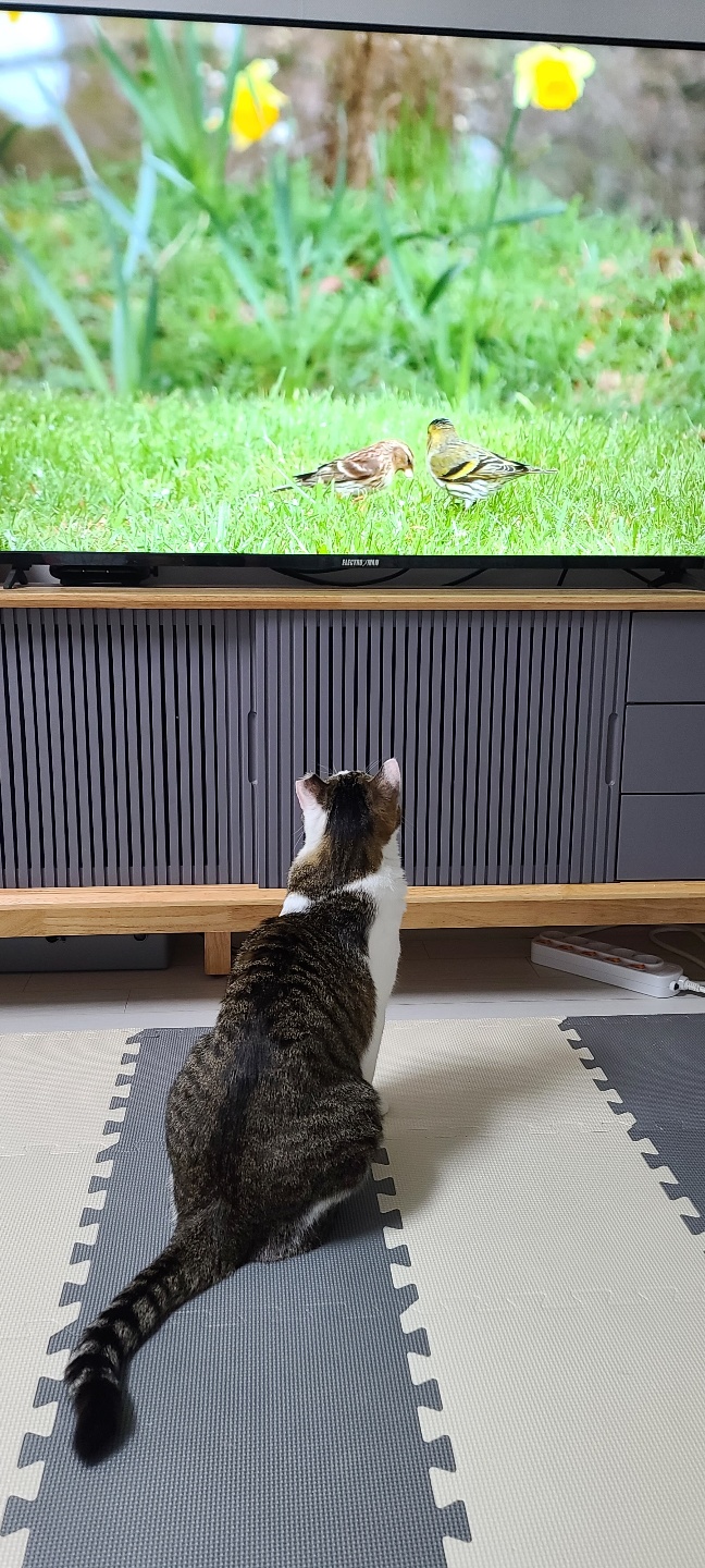 아띠와 함께한지 일주일이 되었어요~!!