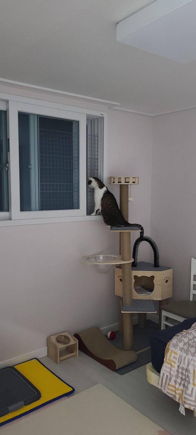 아띠와 함께한지 일주일이 되었어요~!!