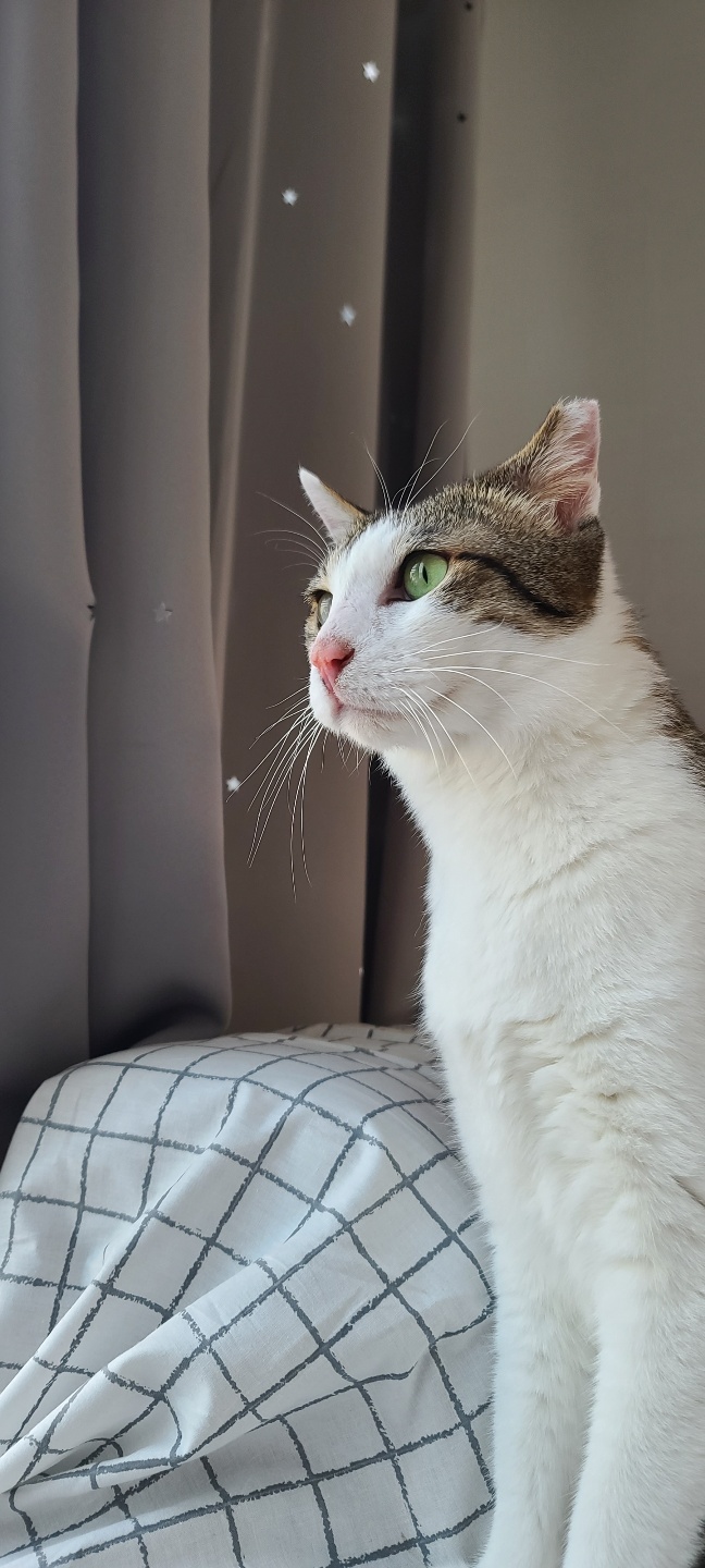 아띠와 함께한지 일주일이 되었어요~!!