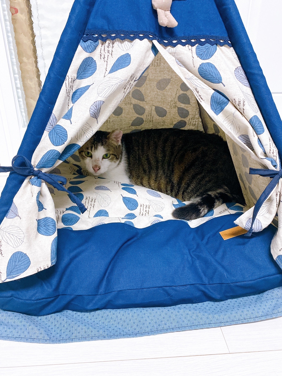 아띠와 함께한지 일주일이 되었어요~!!