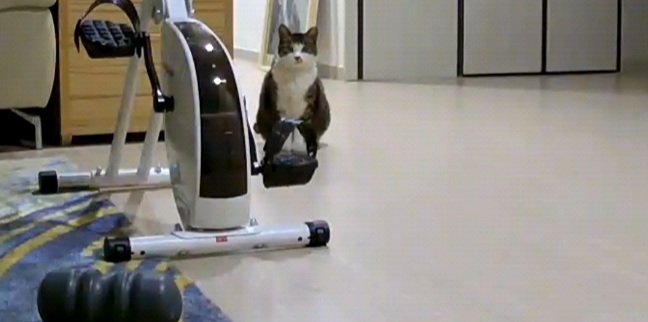 까꿍이를 데려온지 7일차!