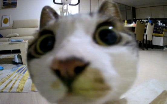 까꿍이를 데려온지 7일차!