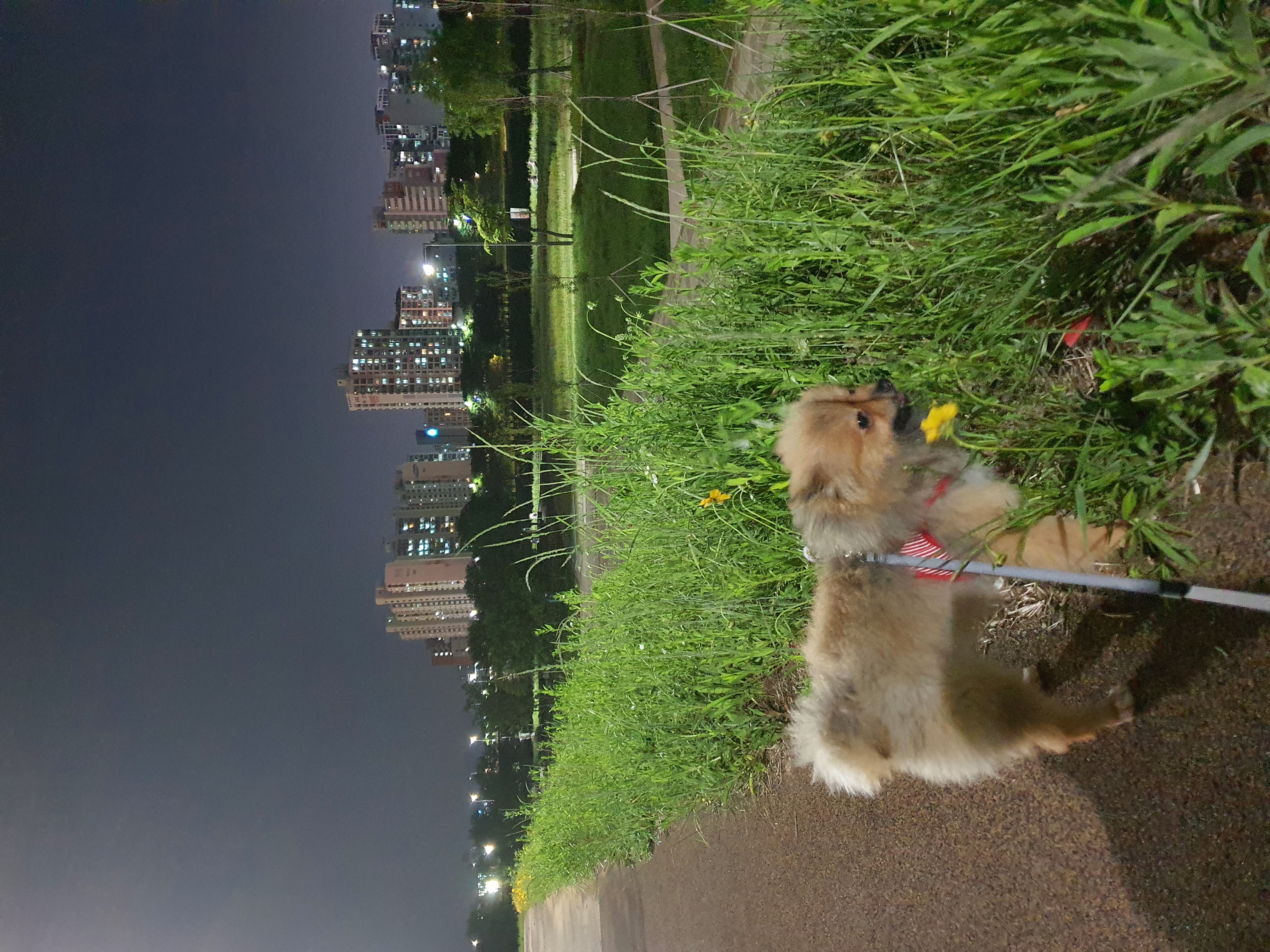 라쿤이 일주일 차