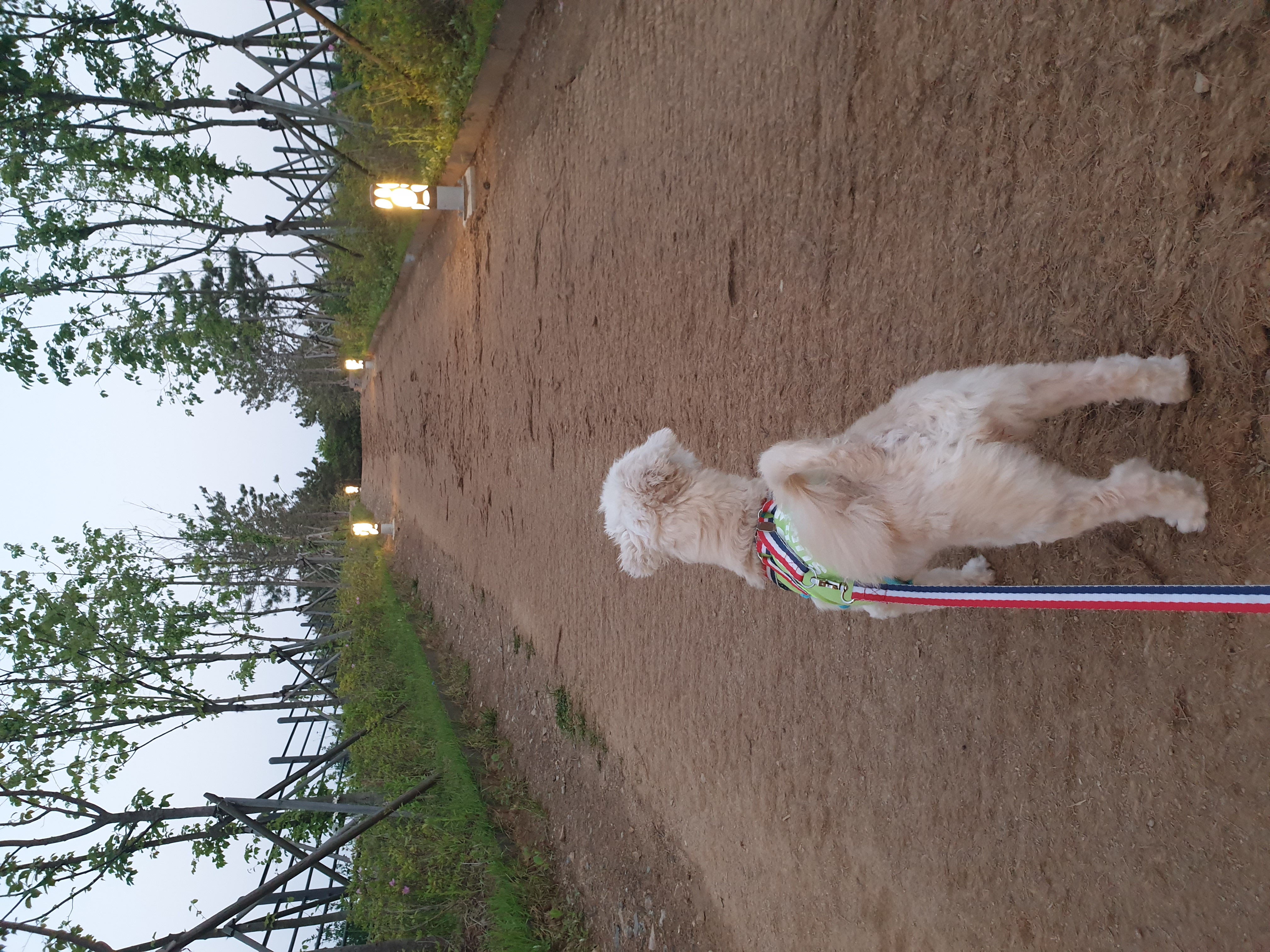 봉봉이와 갸족이 된지 석달이 되었네요^^