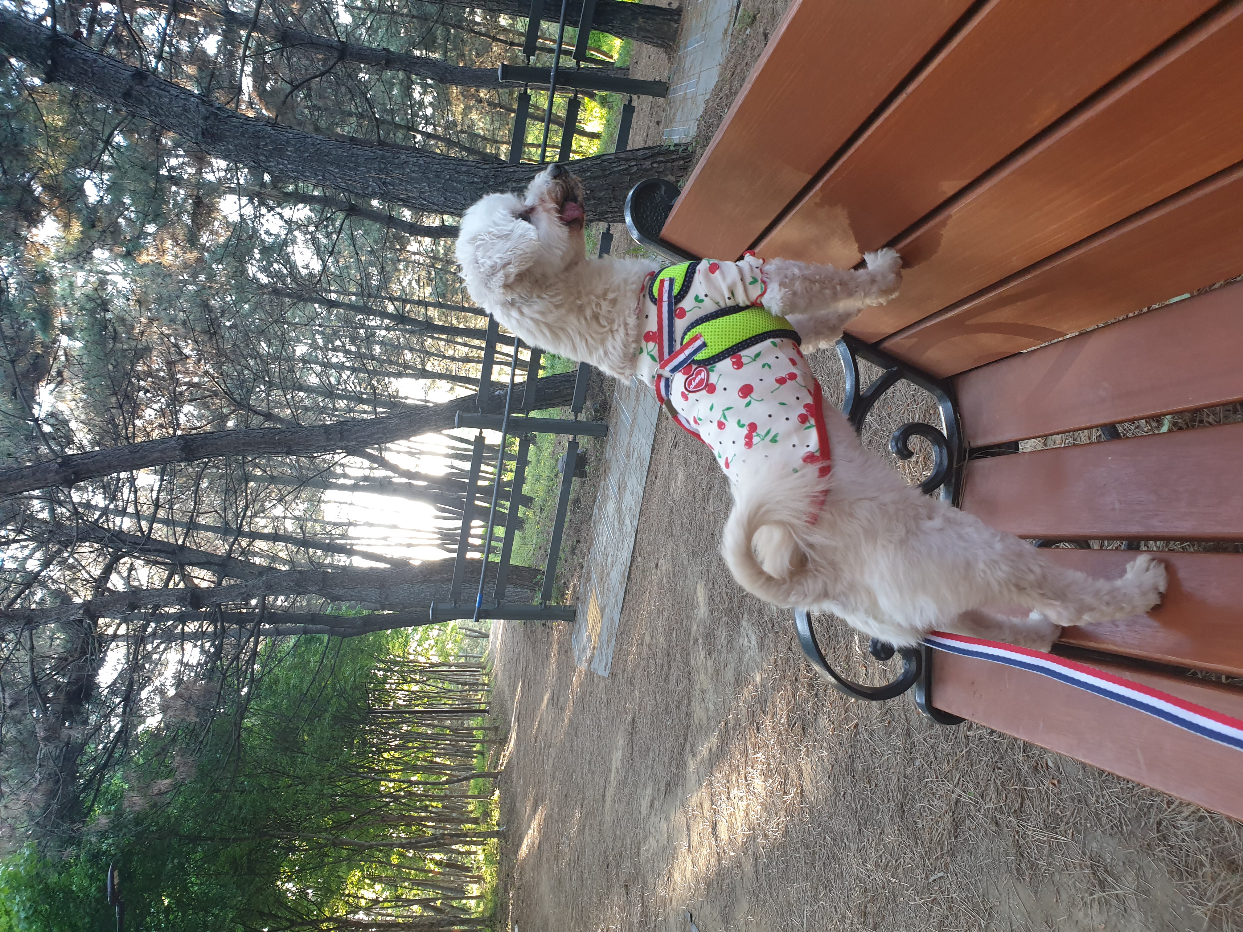 봉봉이와 갸족이 된지 석달이 되었네요^^