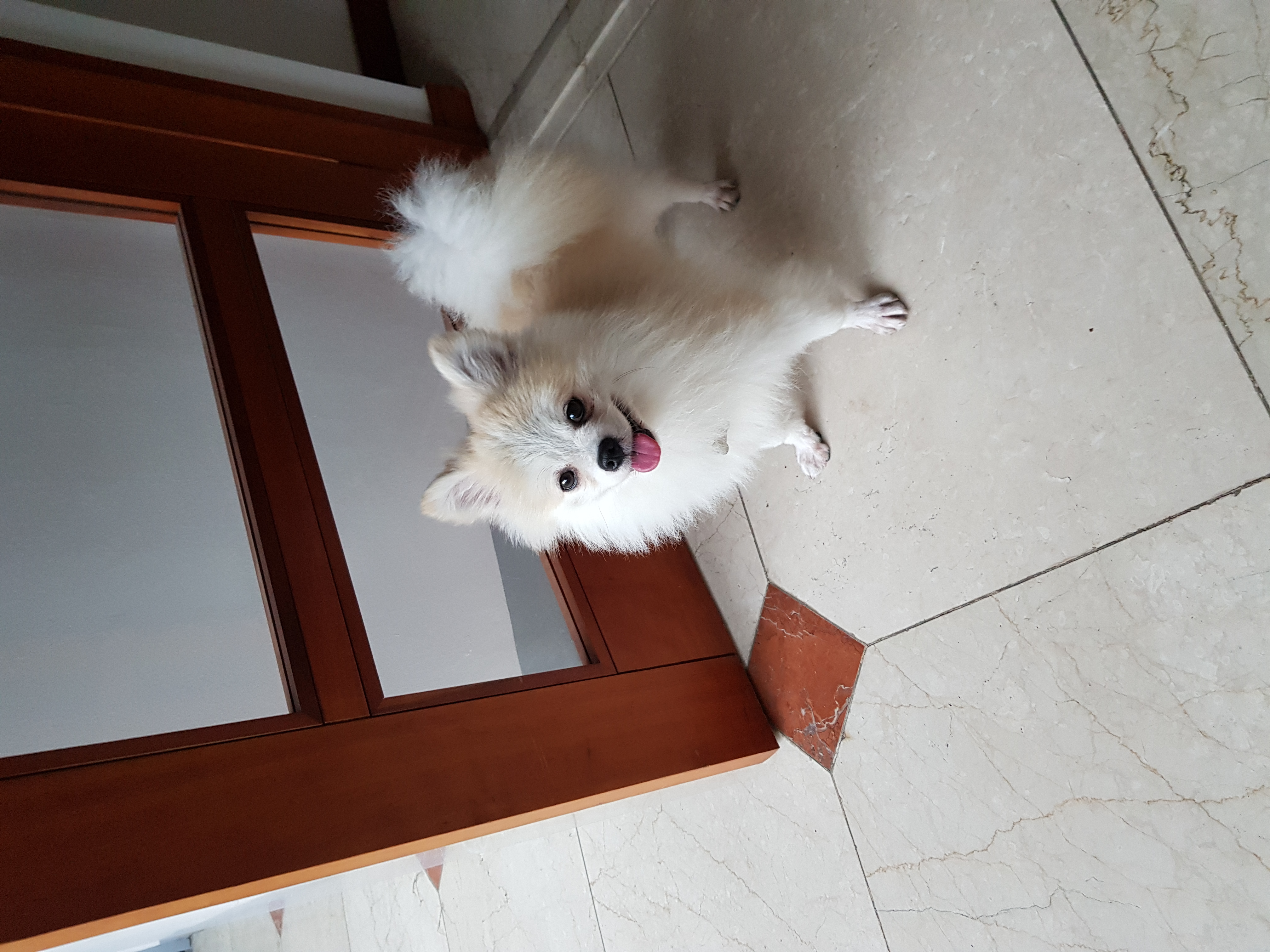 금송이의 일주일일기