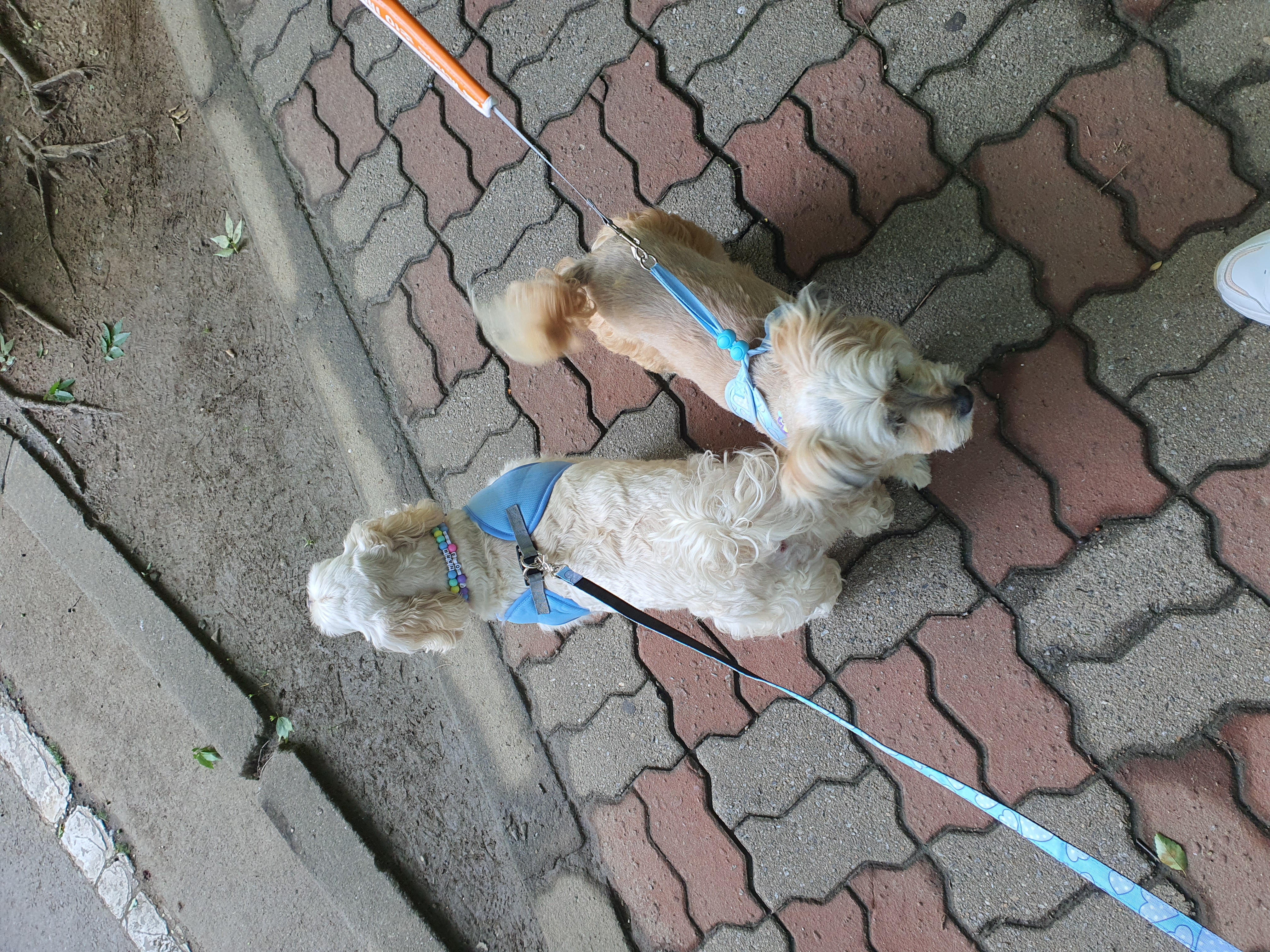 햇님이의 새출발