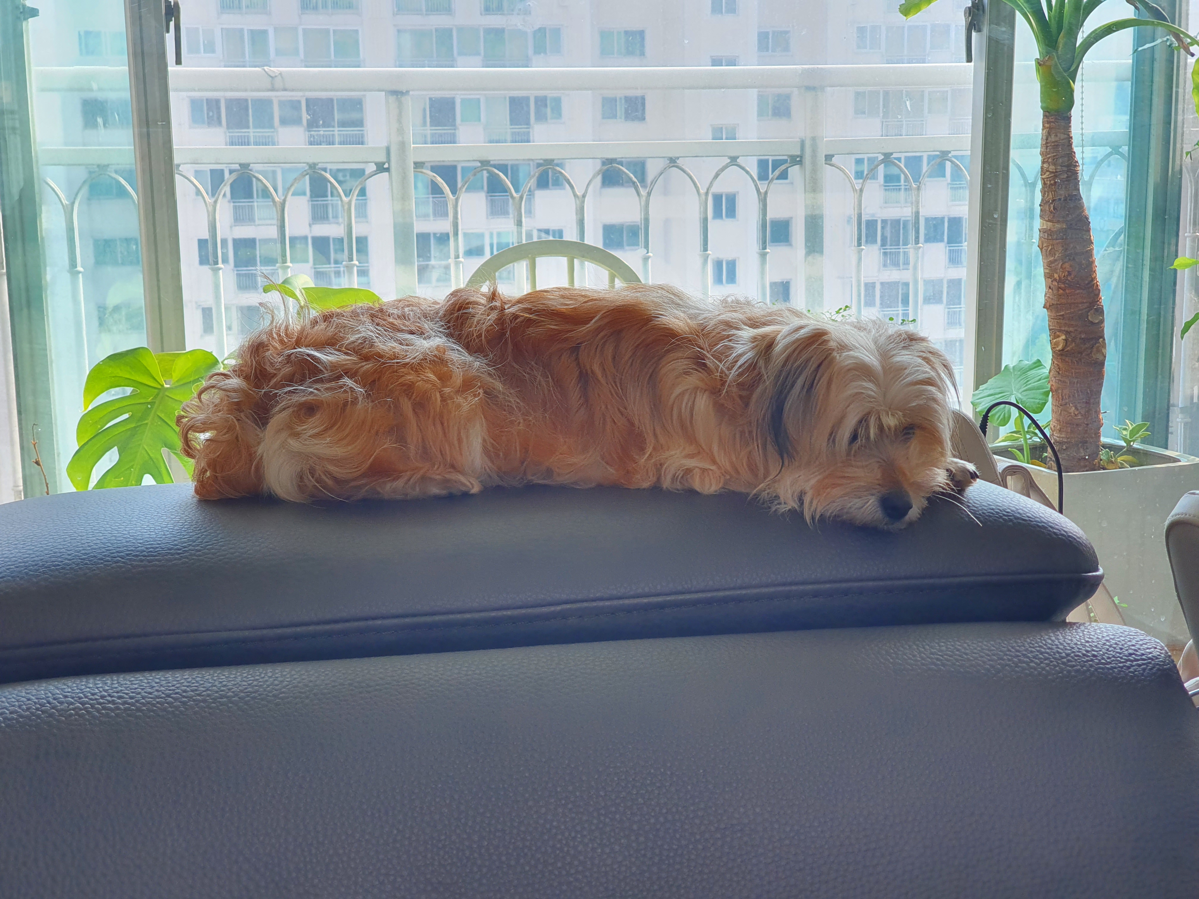 햇님이의 새출발