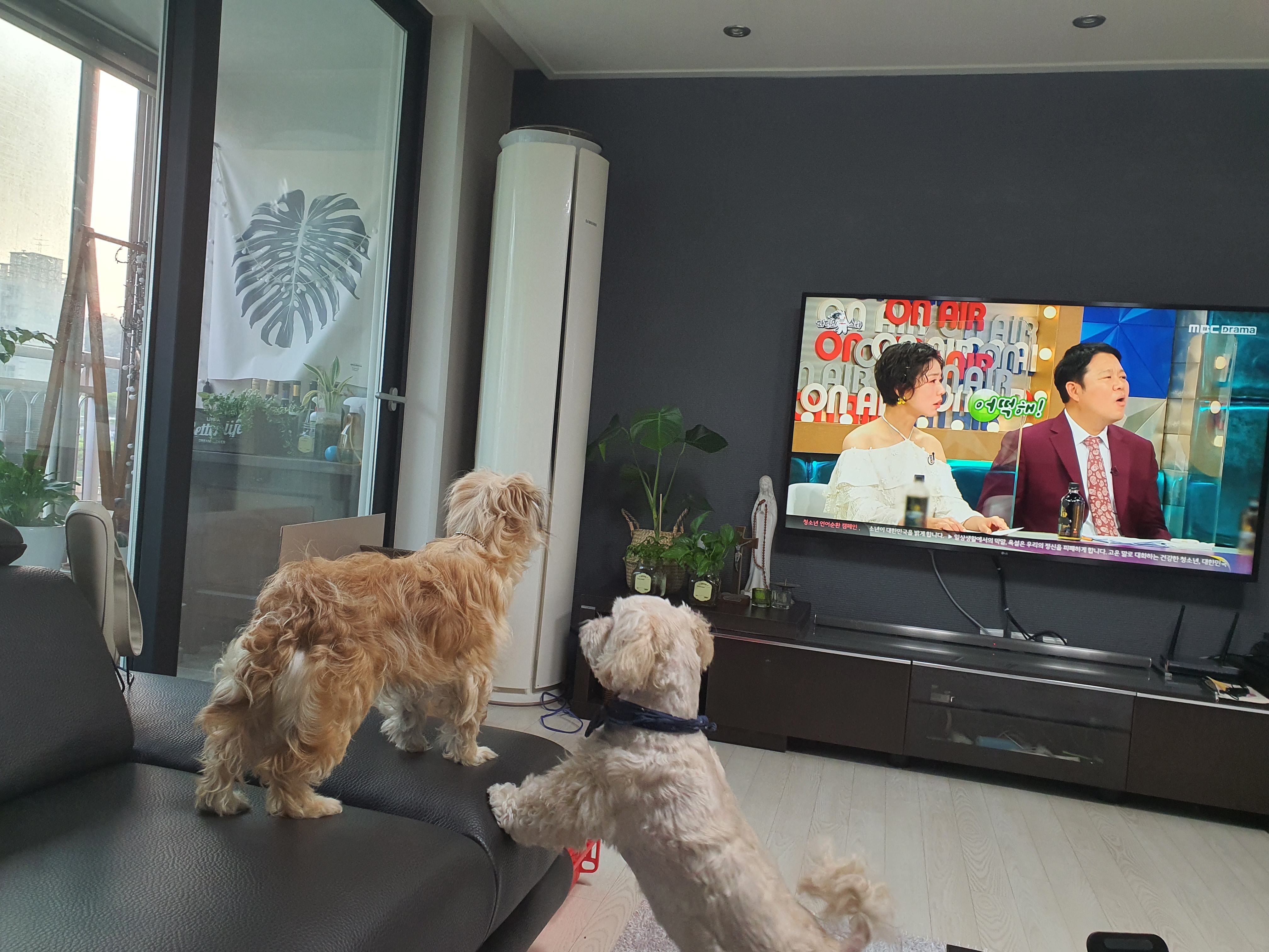 햇님이의 새출발