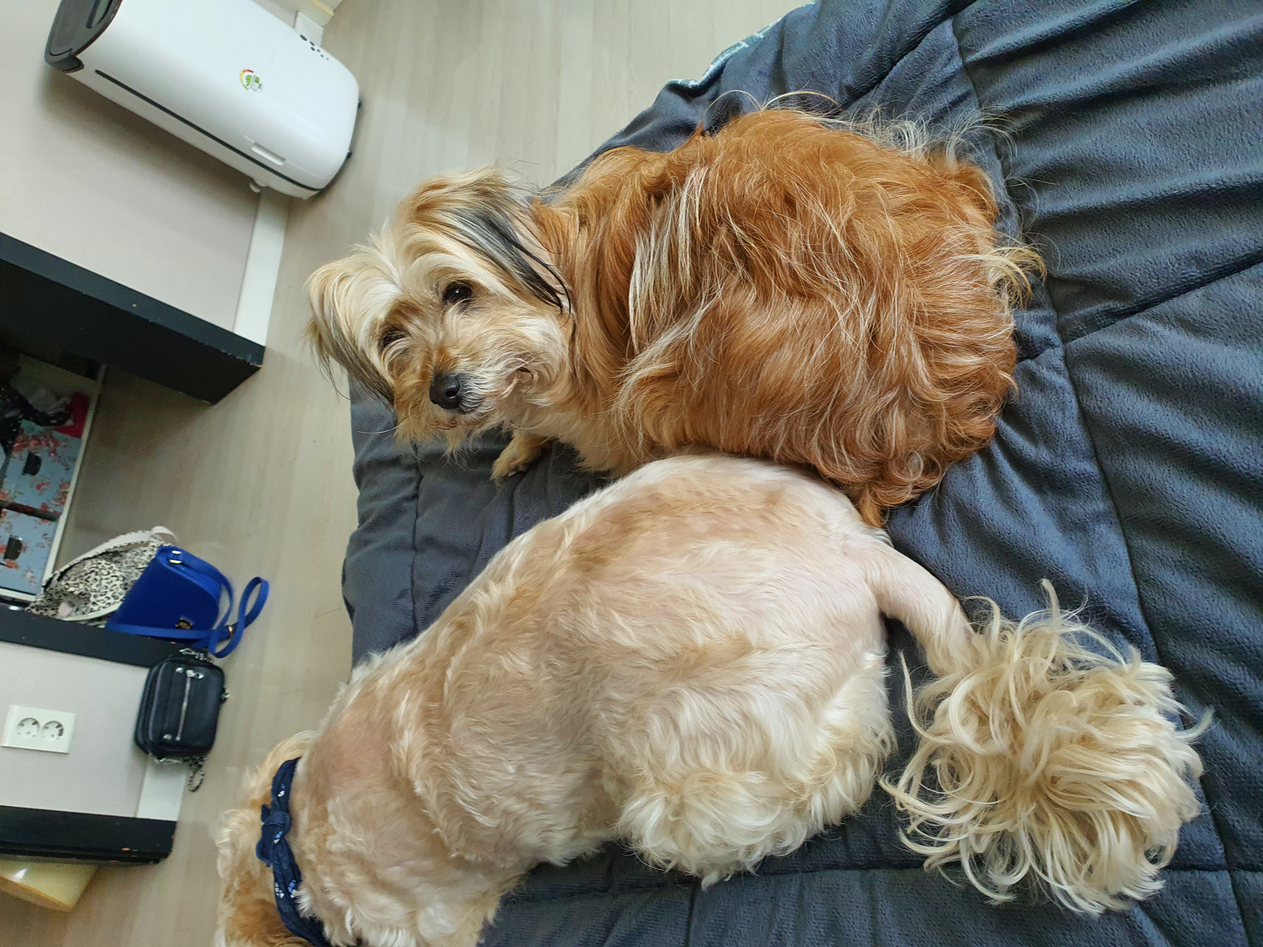 햇님이의 새출발