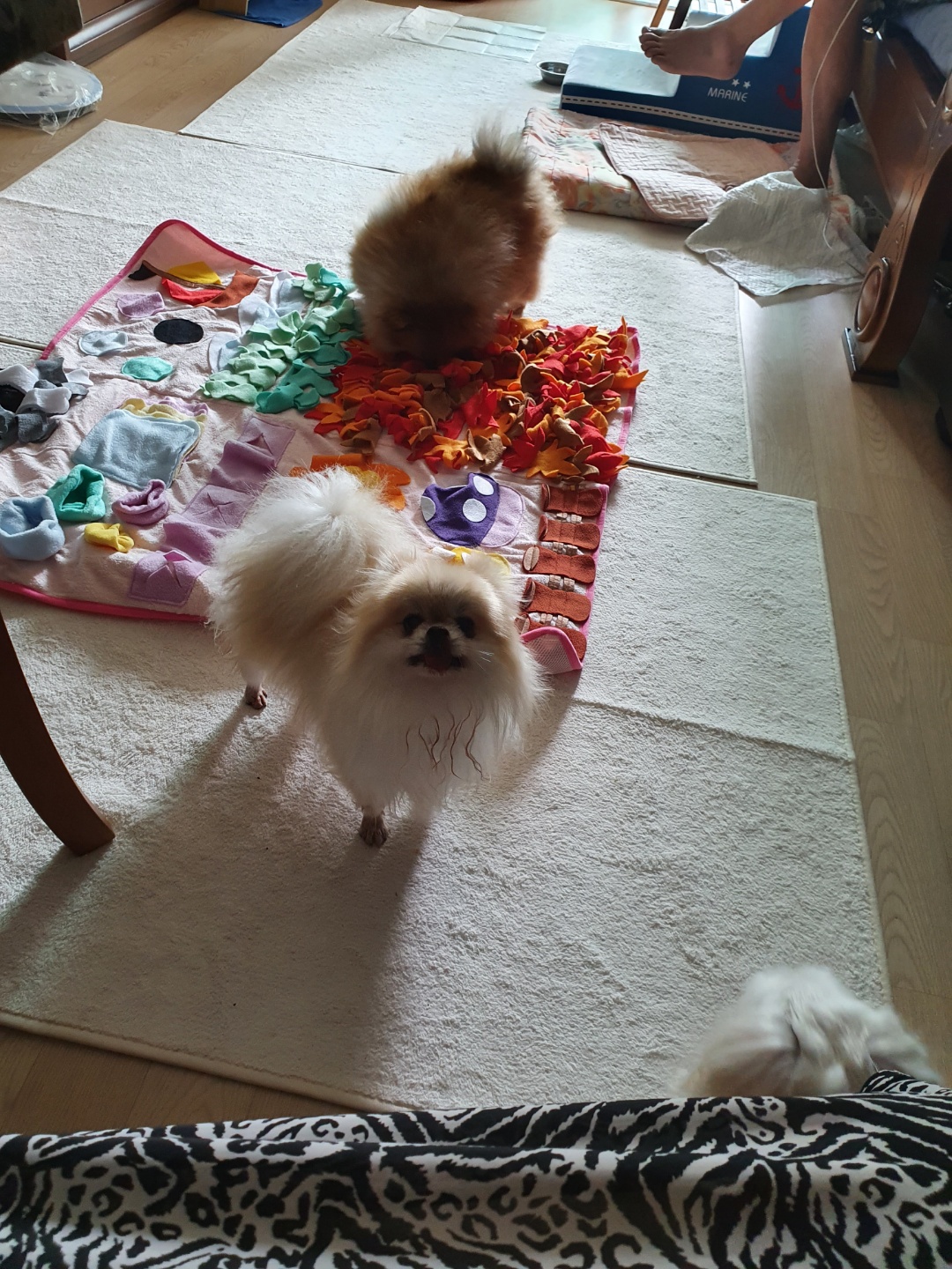 ❤우리가족 제나❤