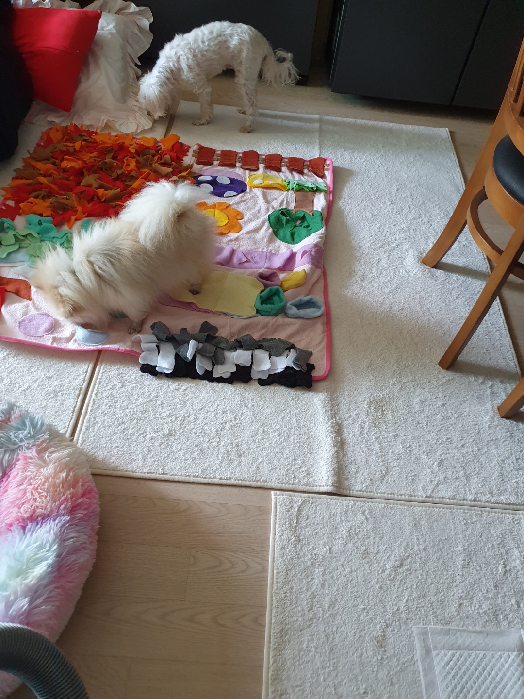 ❤우리가족 제나❤