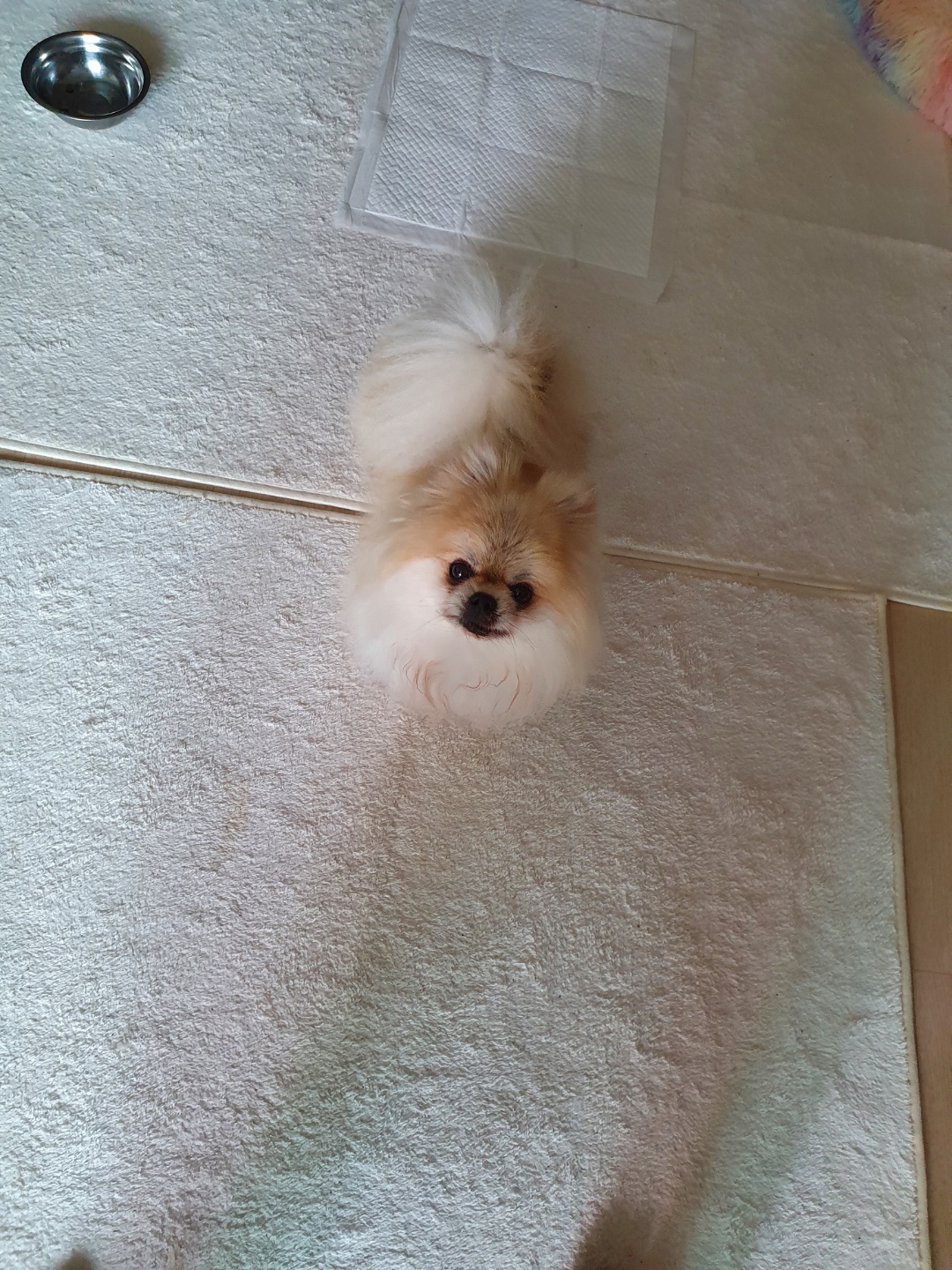 ❤우리가족 제나❤