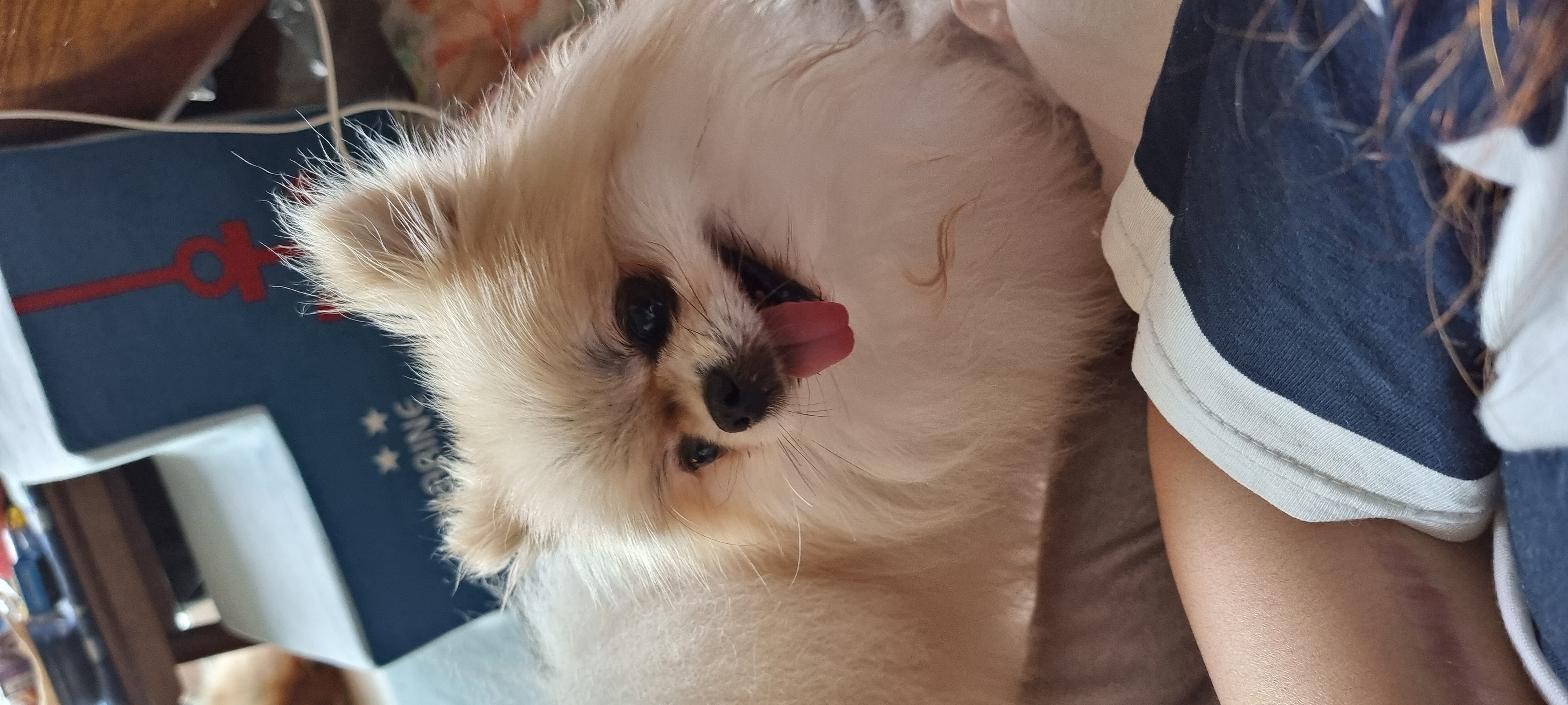 ❤우리가족 제나❤