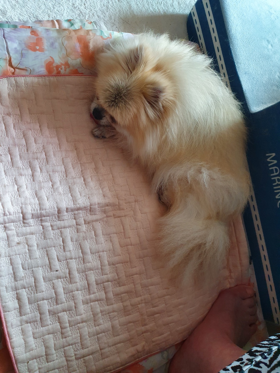 ❤우리가족 제나❤