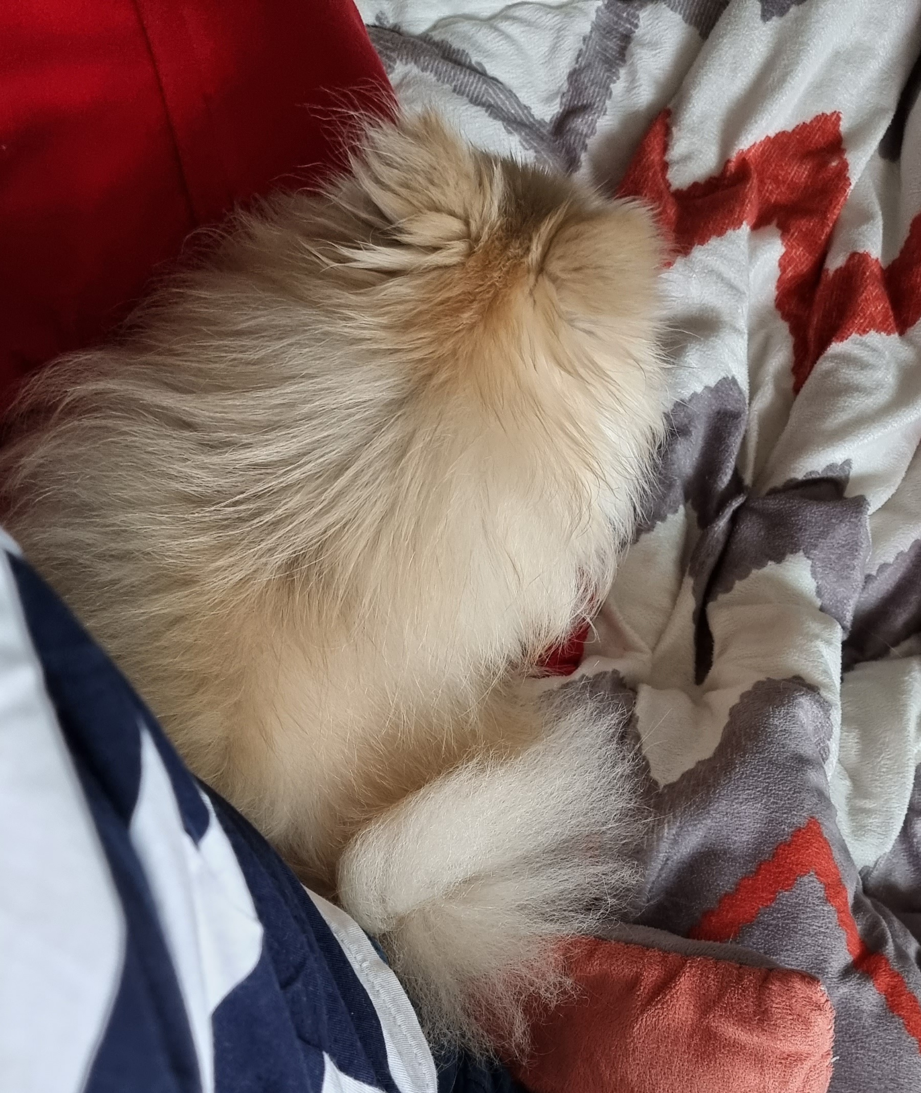 ❤우리가족 제나❤