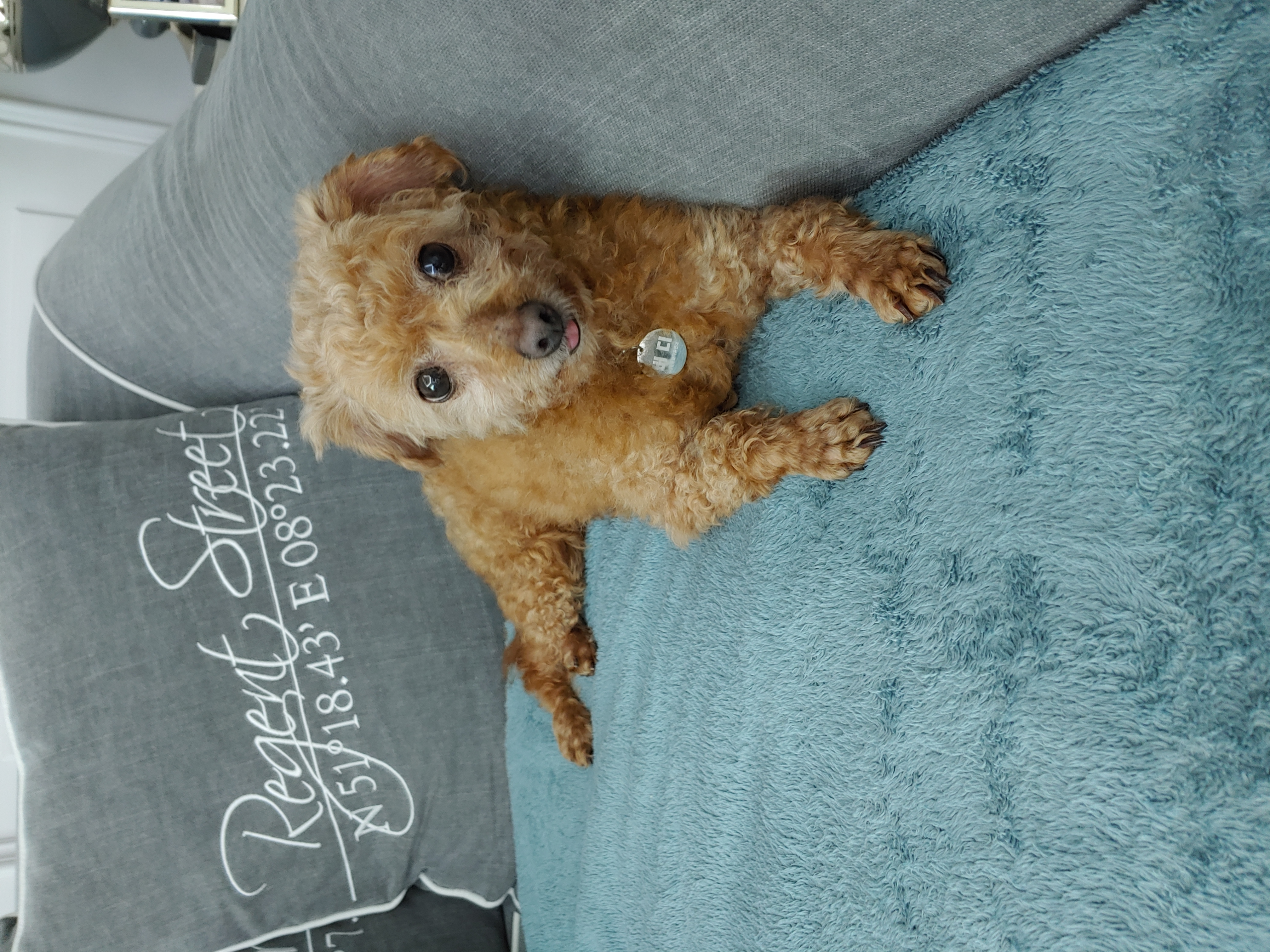 팔랑이~~(지금은  버디예요~~^^)   한달후기입니다~~~~