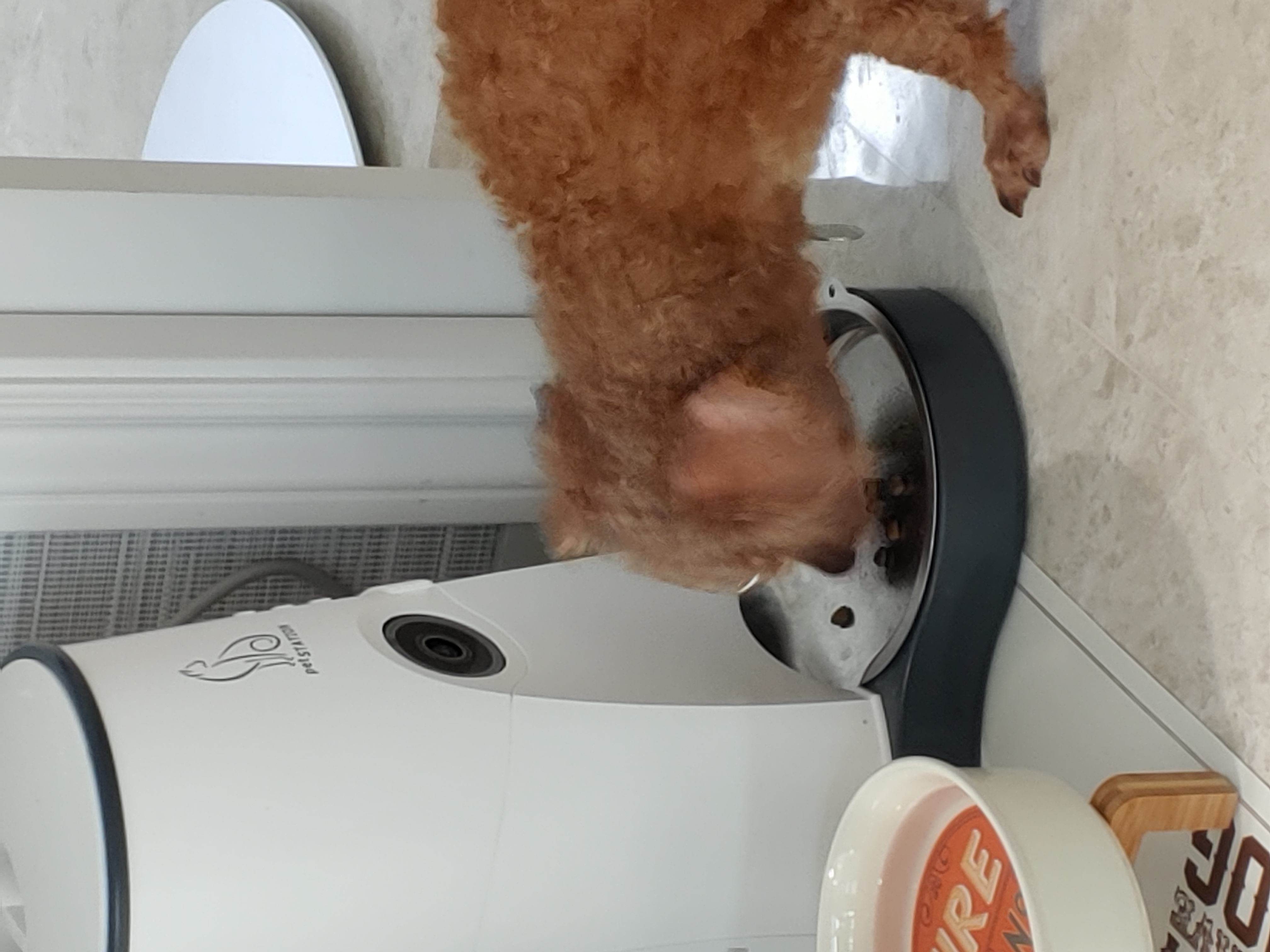 팔랑이~~(지금은  버디예요~~^^)   한달후기입니다~~~~