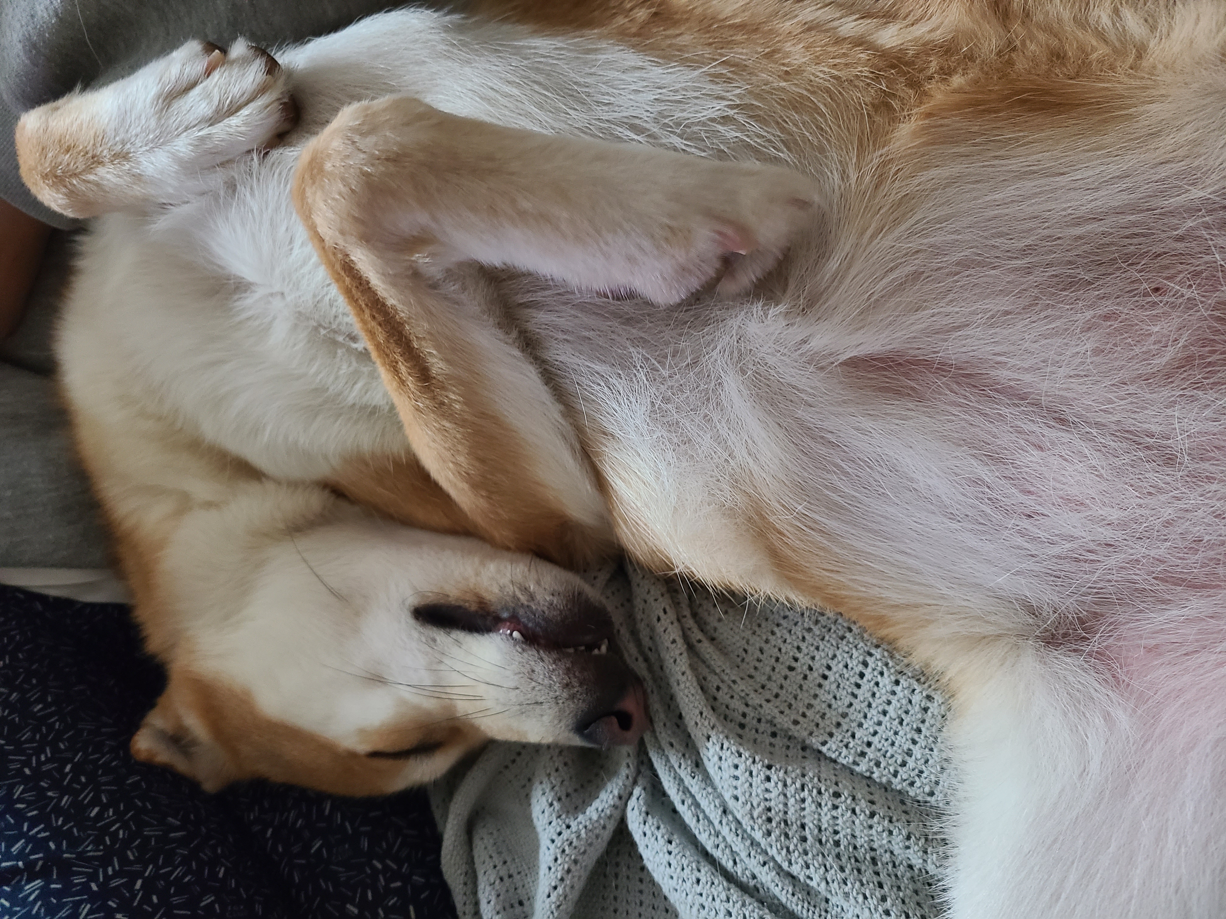 밤비는 잘지내구 있습니다~