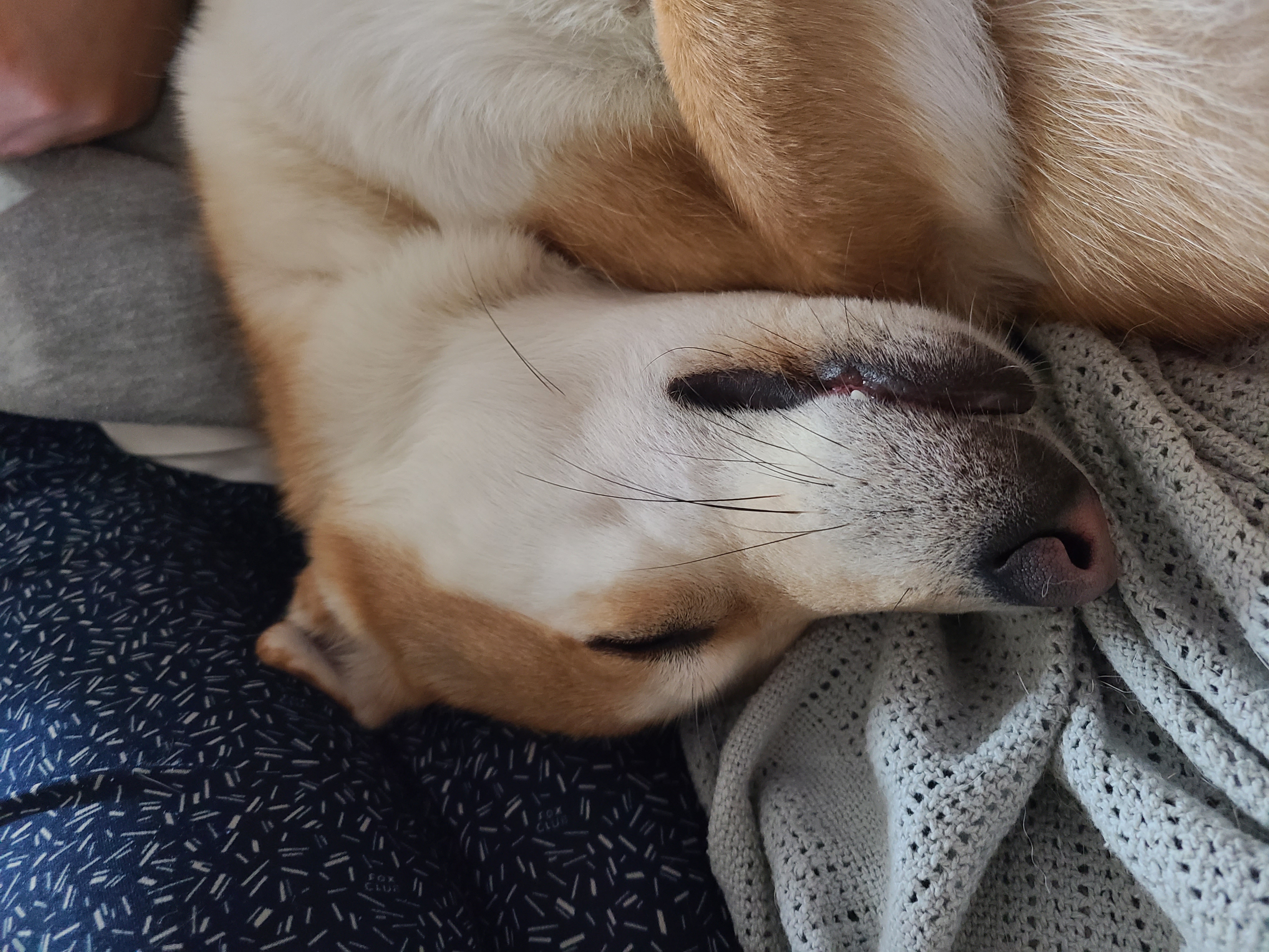 밤비는 잘지내구 있습니다~