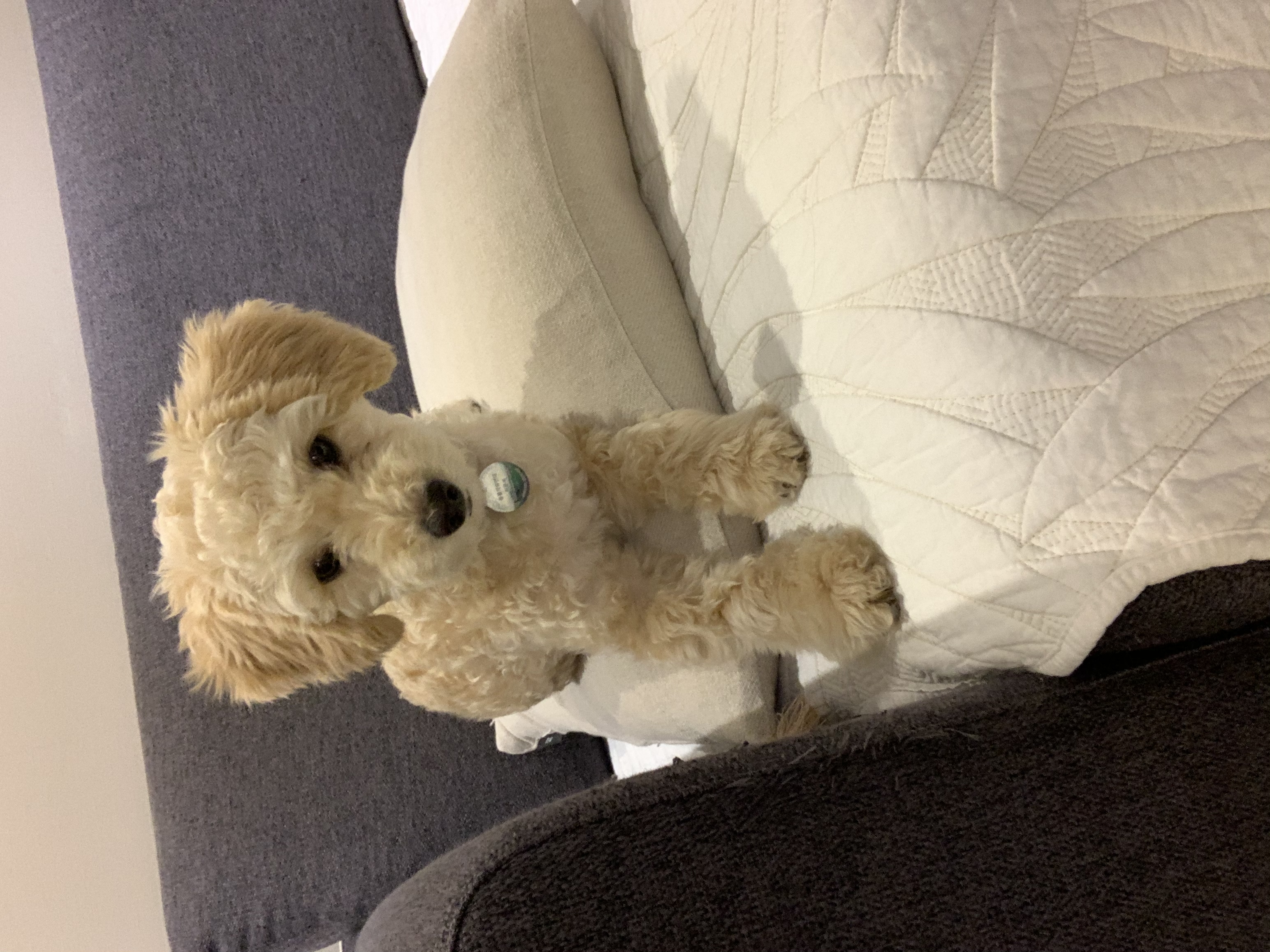 해랑이 자견 해이 잘 지내고 있어요